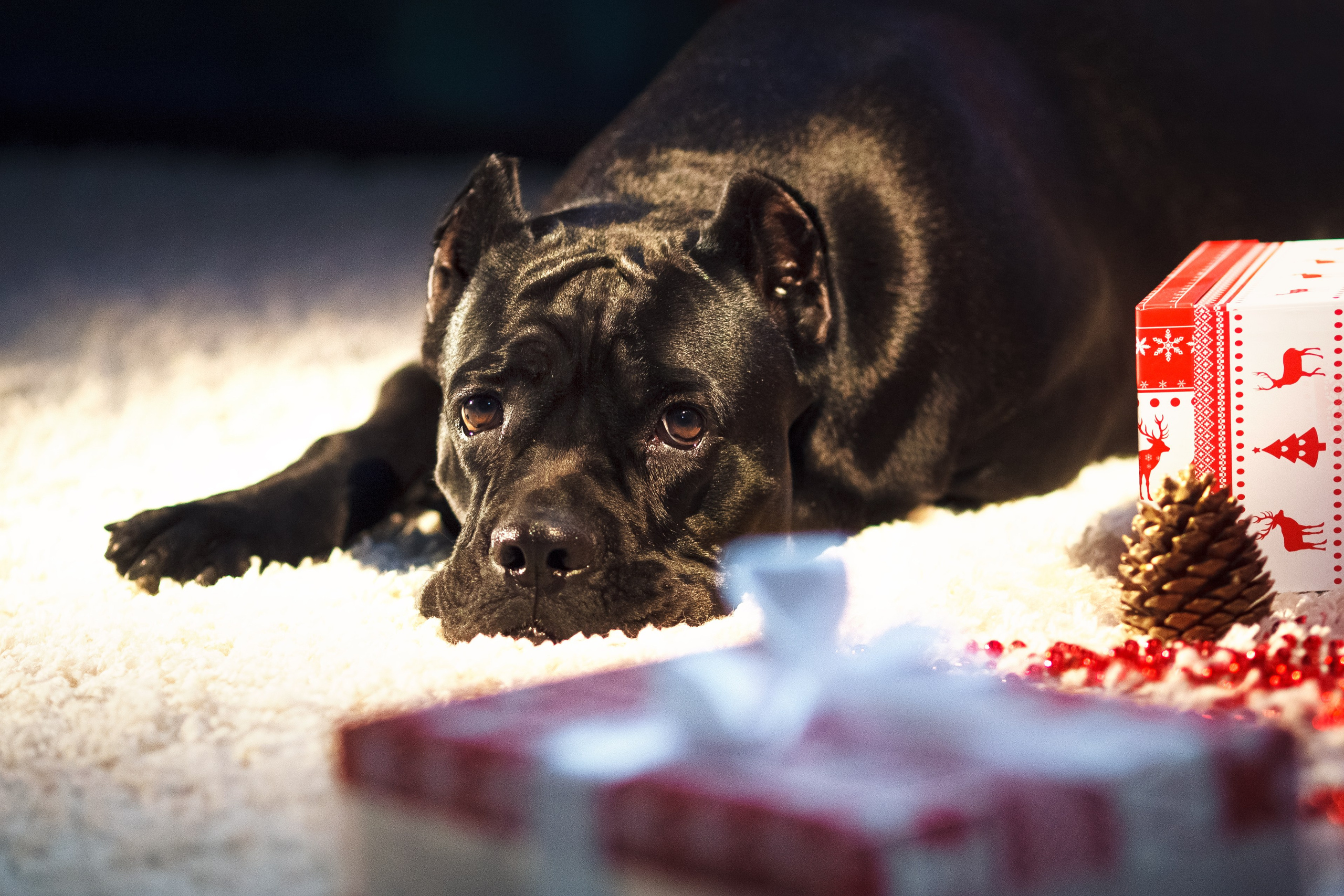 Наши работы. Жизнь курорта Кабардинка в фотографиях
