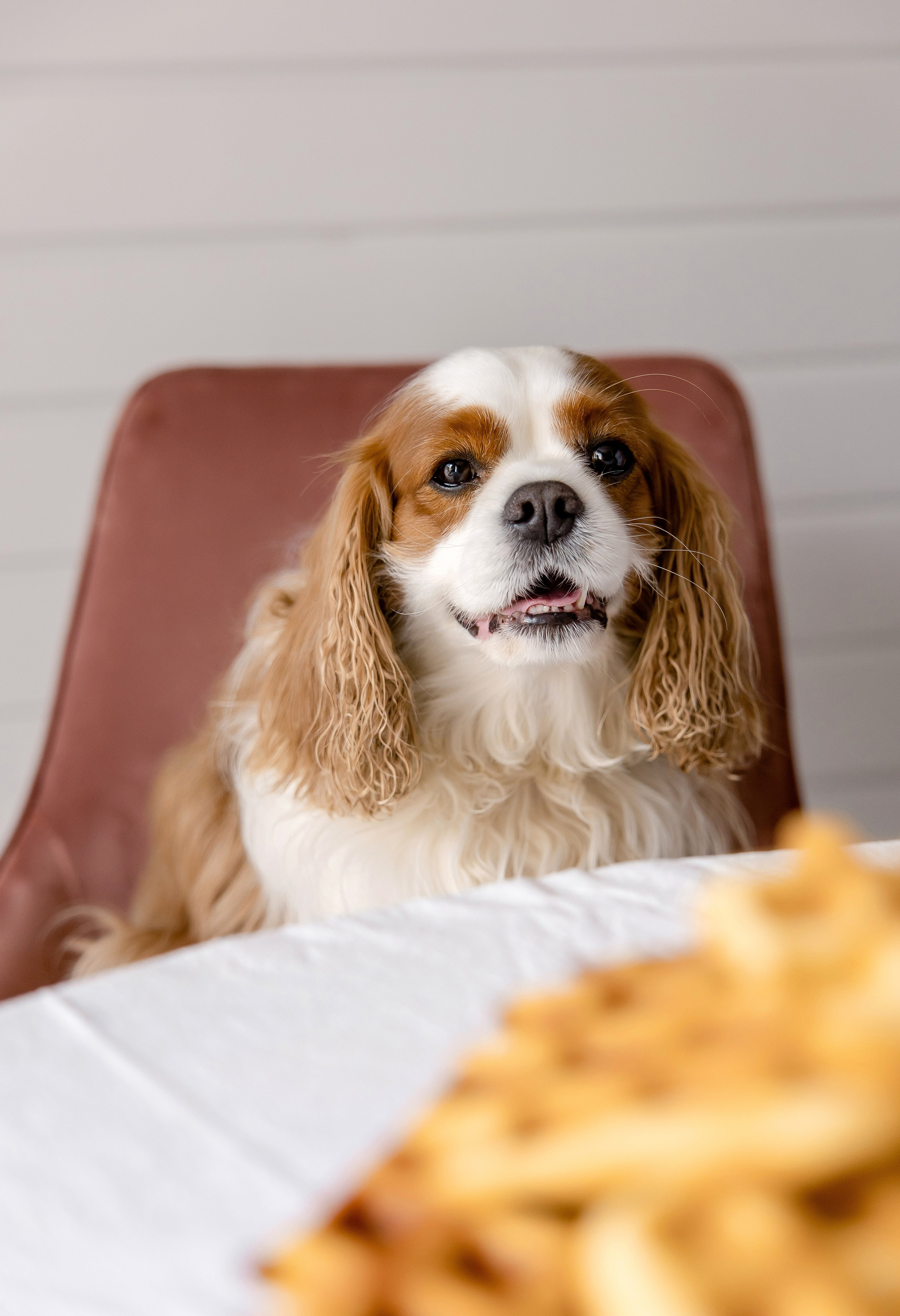 Семейная съёмка для Кати и Вити. Свадебный и портретный фотограф в Миассе Филиппенко Дарья
