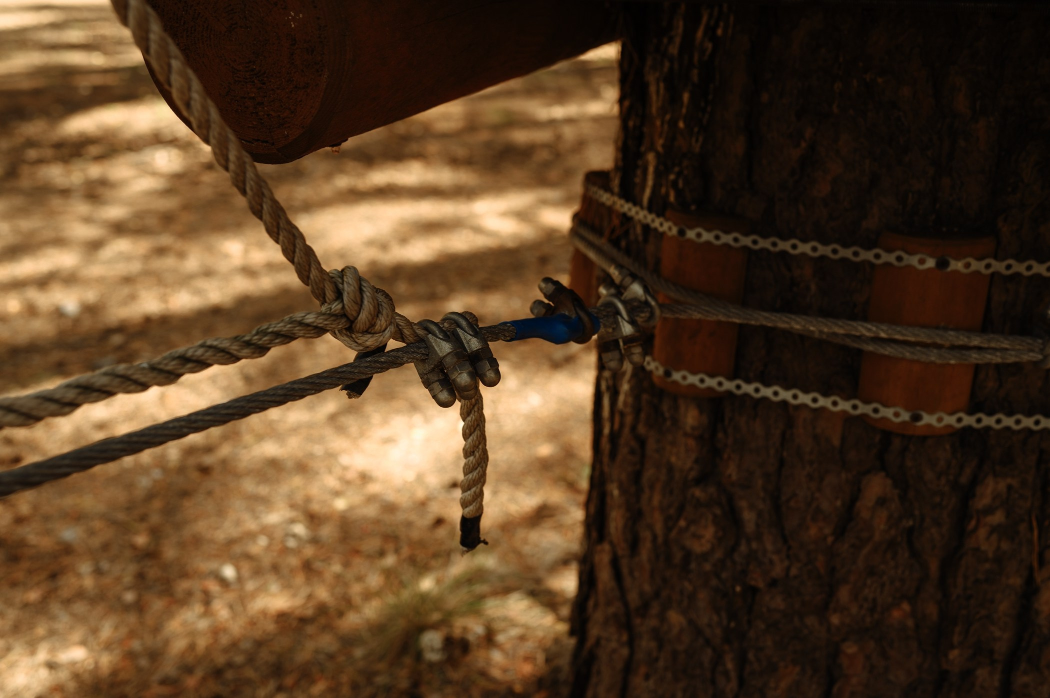 Улей-парк. Саша. Контент и бизнес съемка. Первоуральск, Екатеринбург.Наталья Старек