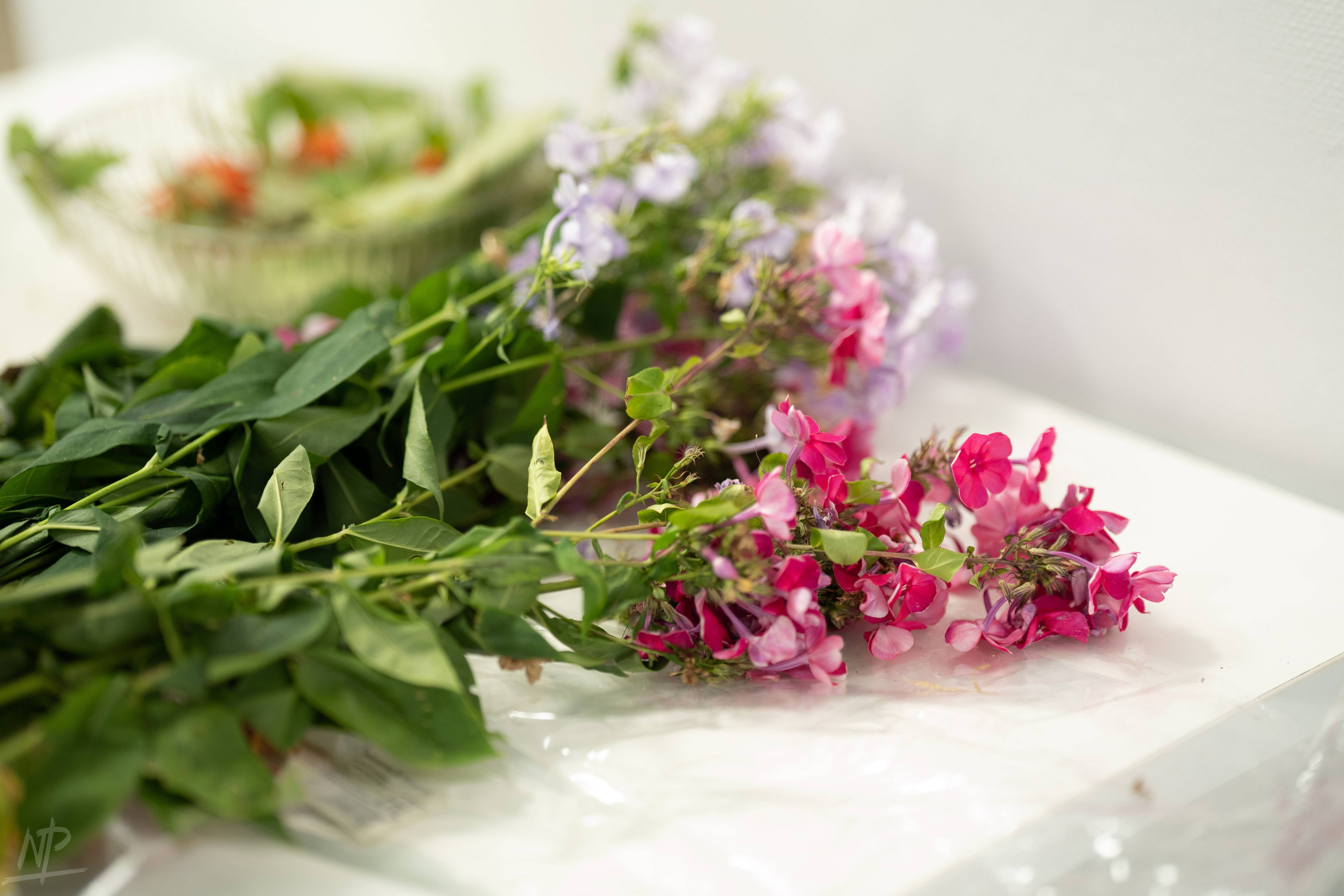 Fashion Meeting NFT party. Nikishin.media — Я с моей командой превращаю моменты в искусство!