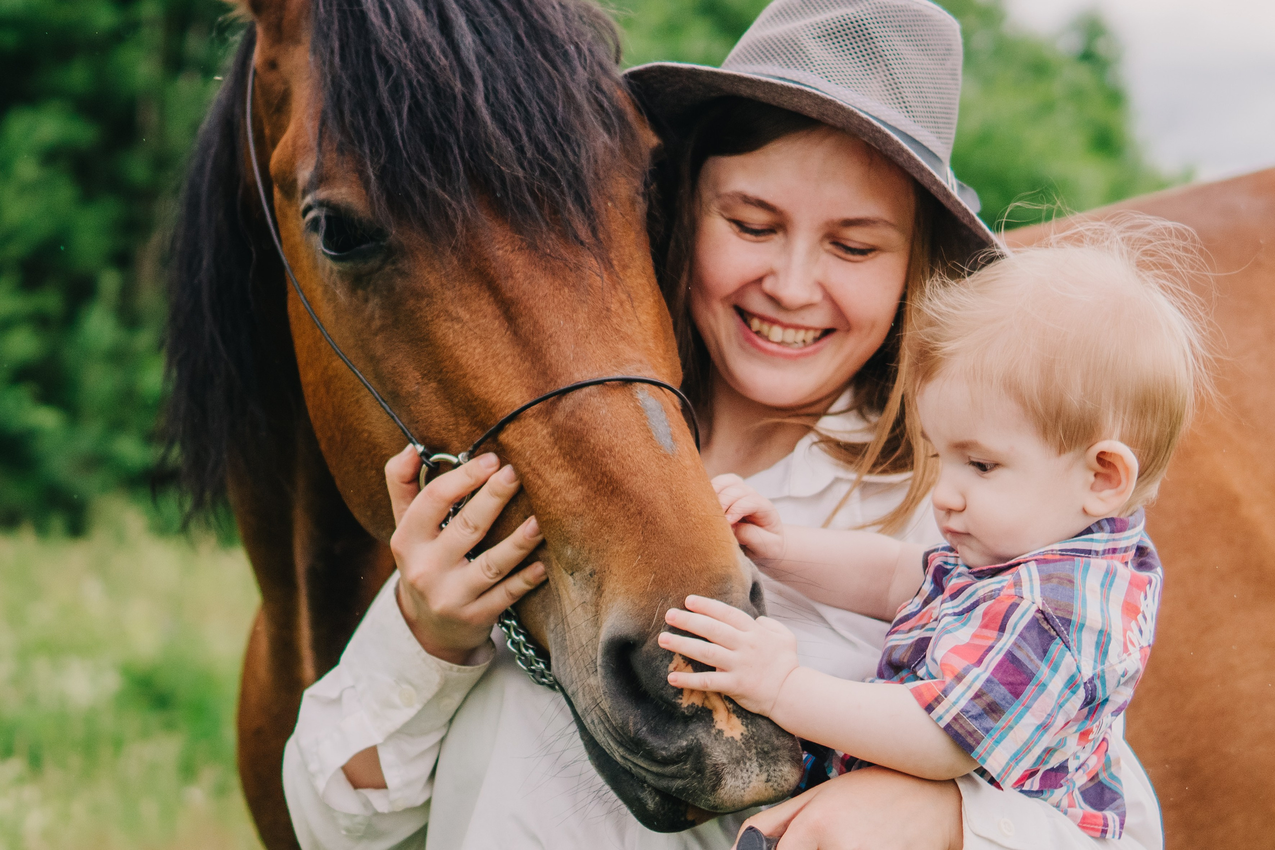 Life with horse. Saamill