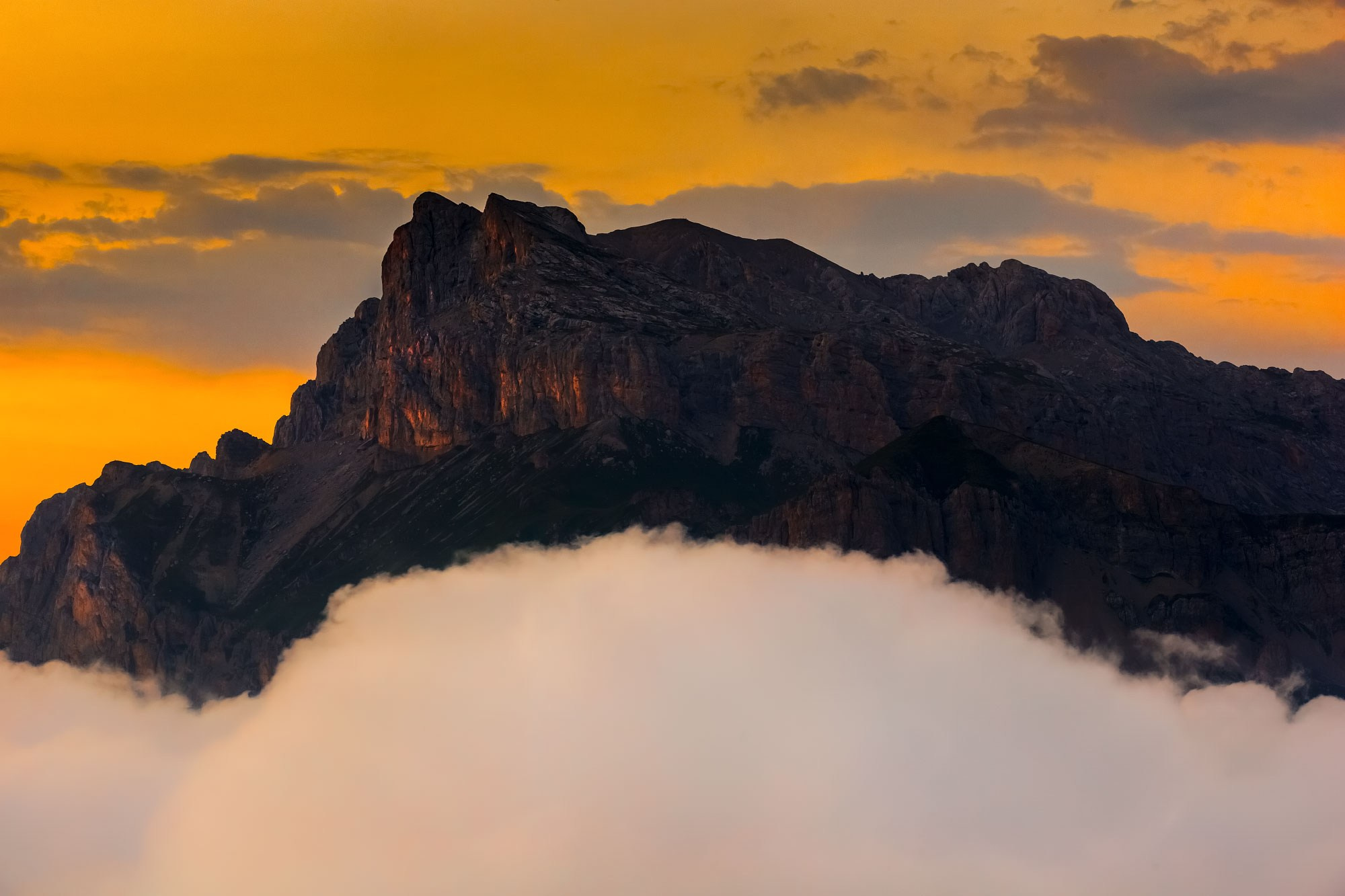 Свадебный фотограф в Геленджике
