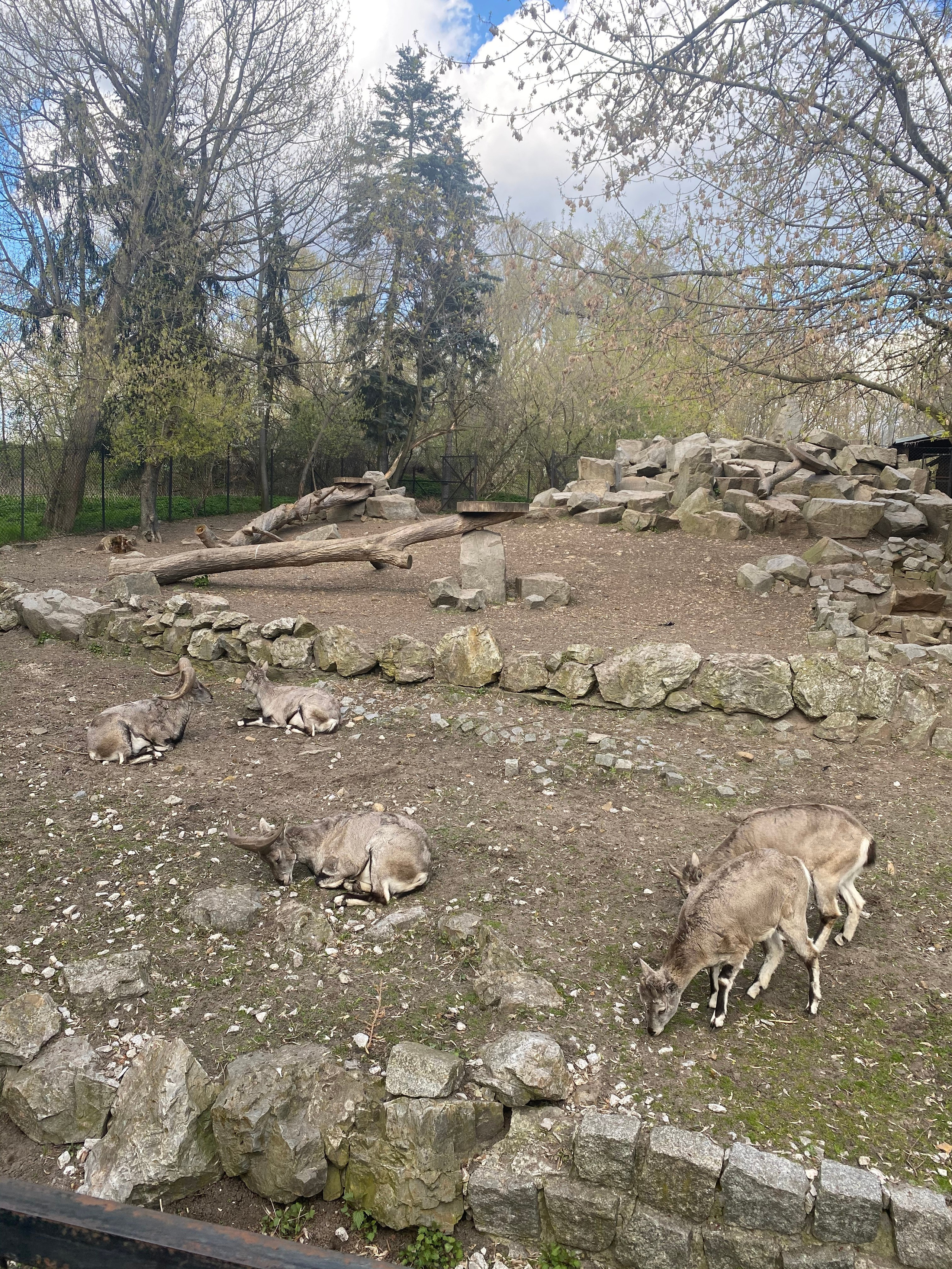 Варшава — 21. Своя Мастерская