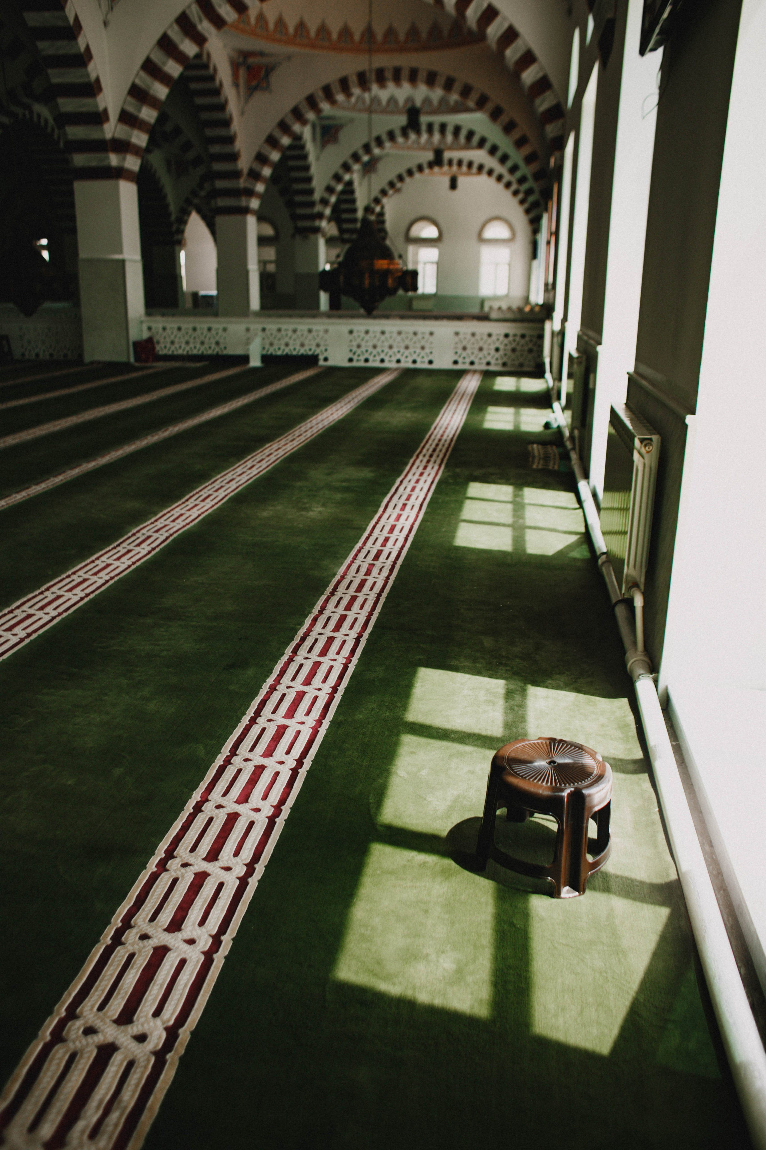 Дагестан. Чечня. 2024. Фотограф в Нижнем Новгороде