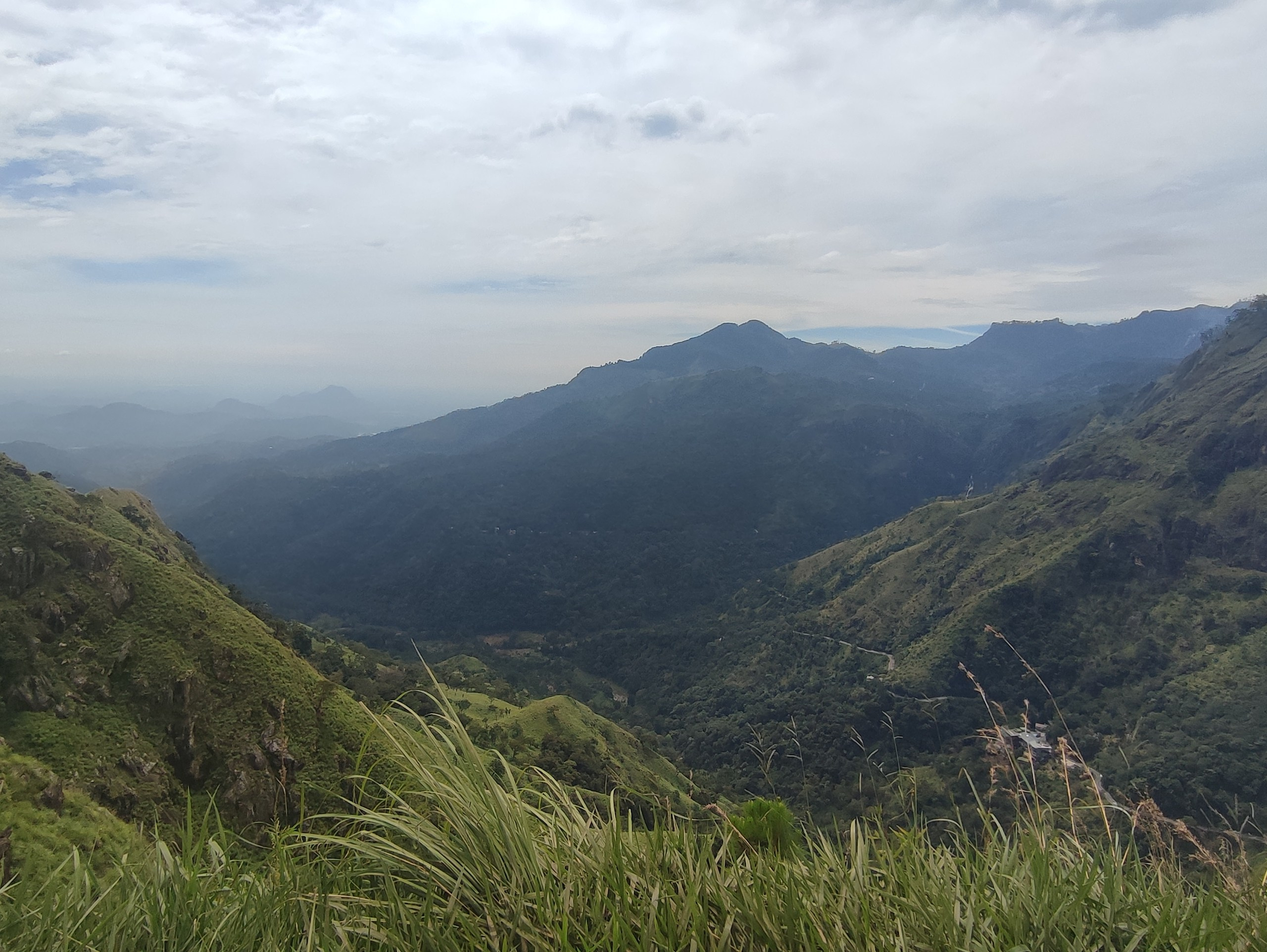 Шри-Ланка | 31.01 — 10.02.2025. Галерея Фантим