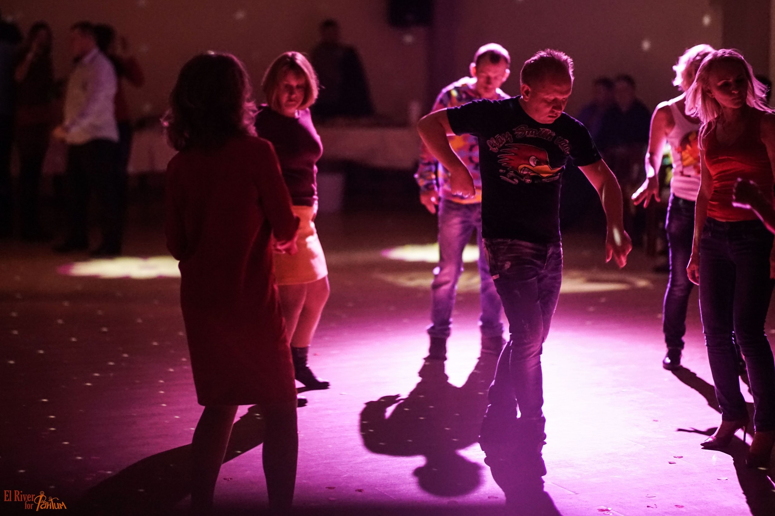 ФВН | 2016. Галерея Фантим