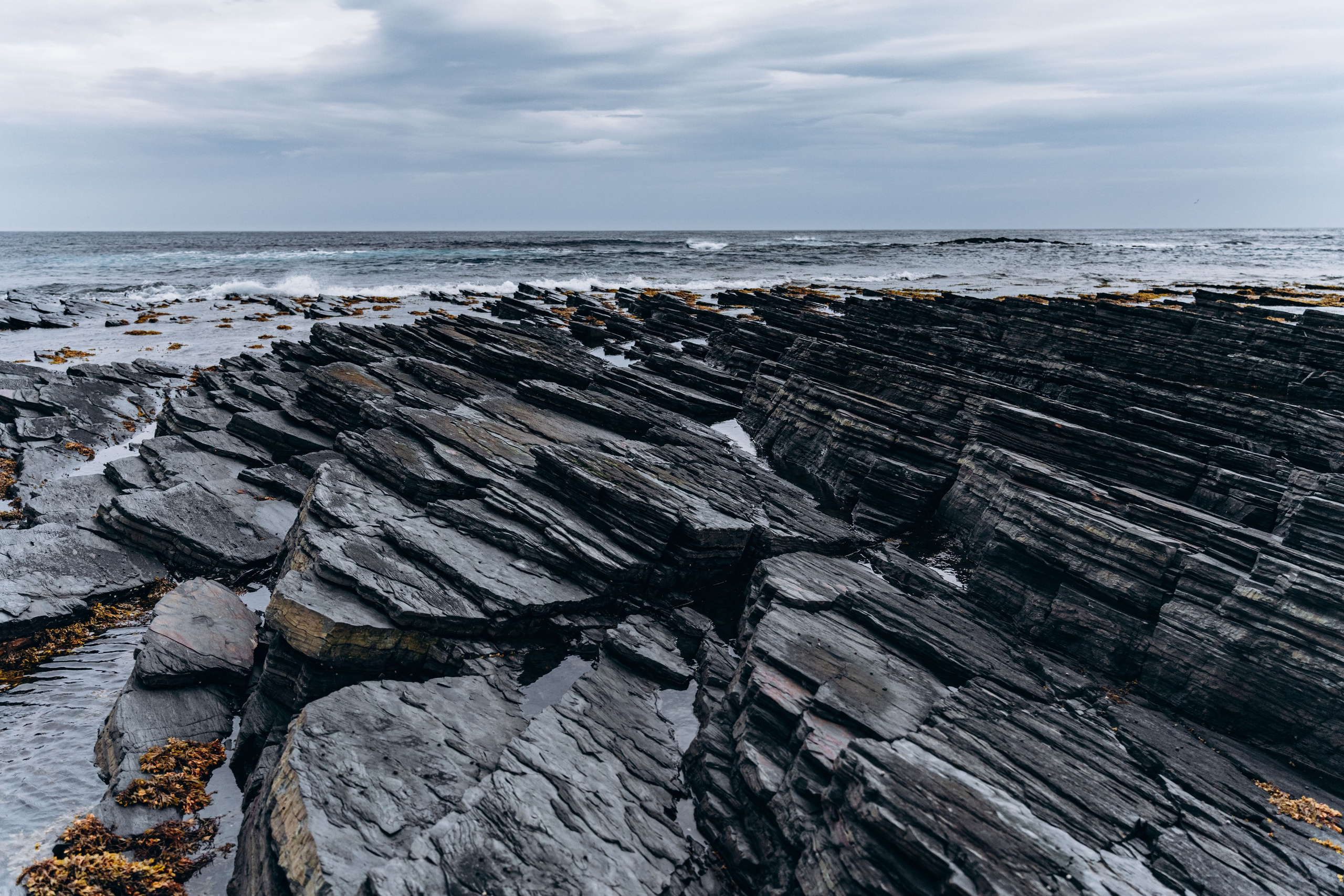 СЕВЕР. Event фотограф Степанова Александра