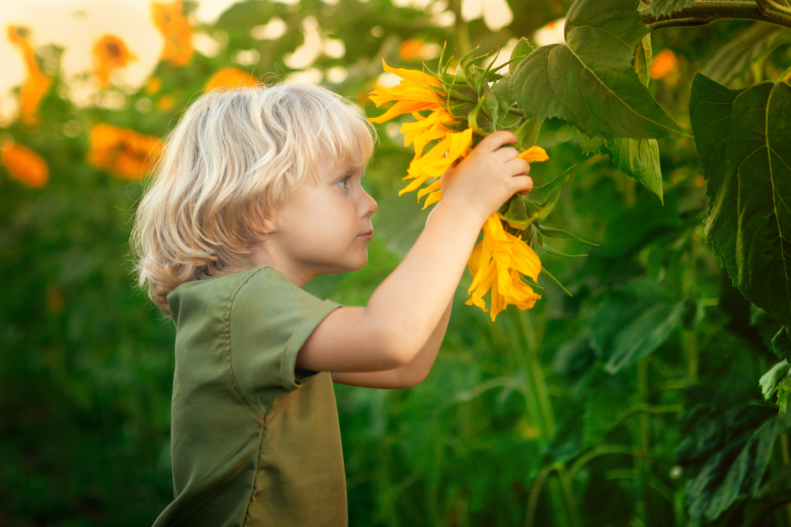 Детская, семейная фотосъемка. Фотосъёмка праздников. Фотограф Антонина Свешникова. ВЫПУСКНЫЕ ФОТОКНИГИ для детских садов и школ. Москва, Владимир