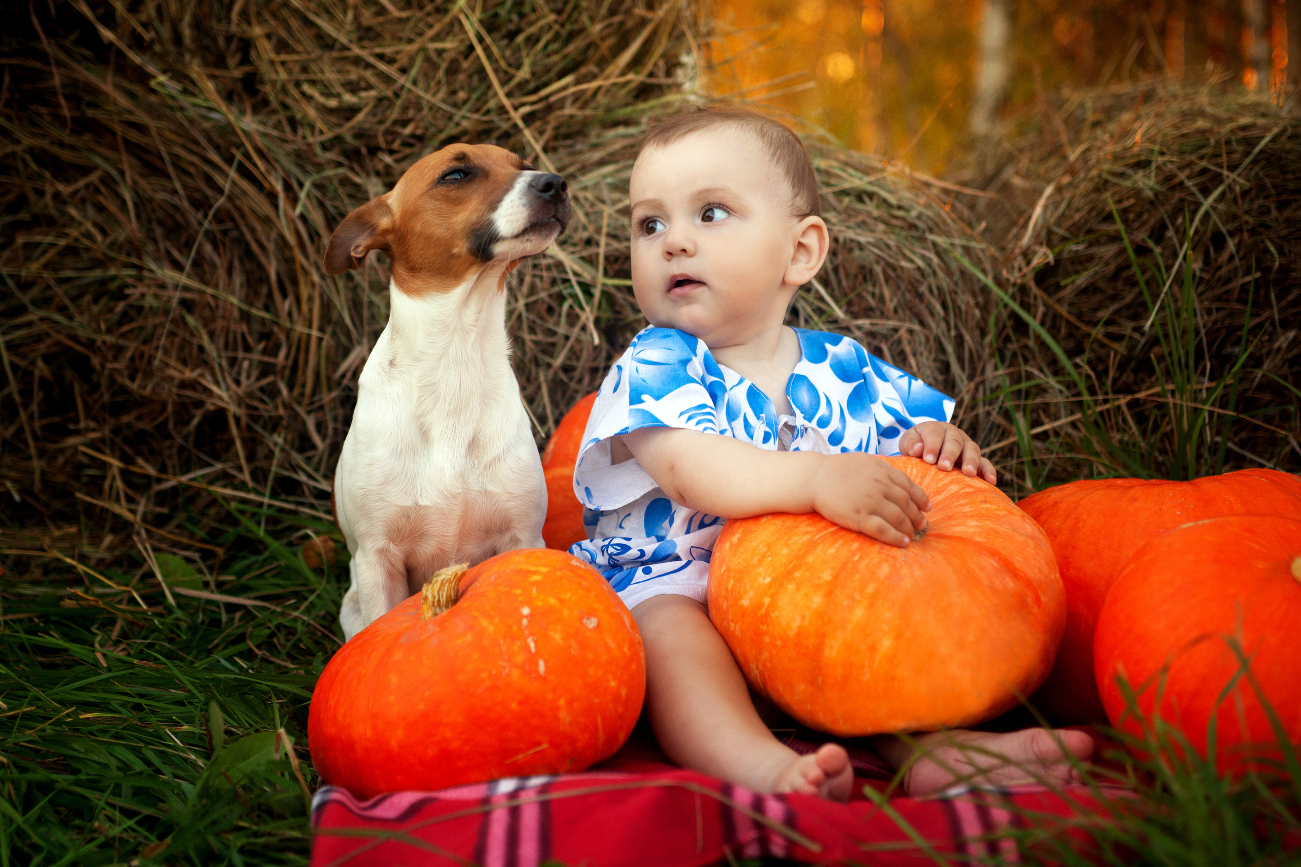 Детская, семейная фотосъемка. Фотосъёмка праздников. Фотограф Антонина Свешникова. ВЫПУСКНЫЕ ФОТОКНИГИ для детских садов и школ. Москва, Владимир