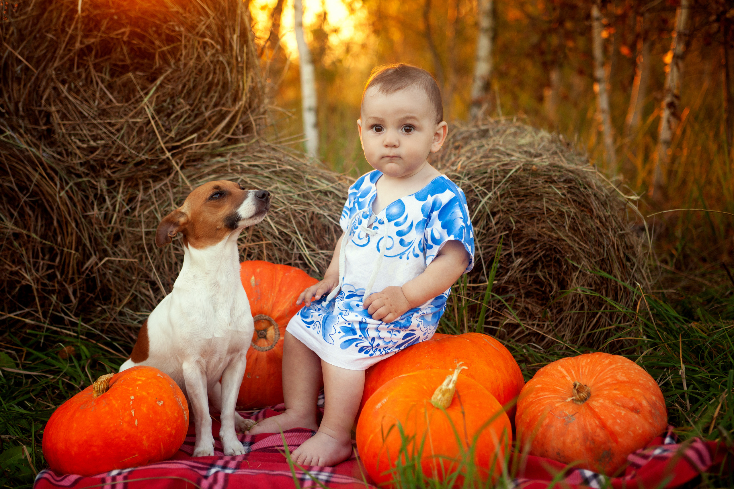 Детская, семейная фотосъемка. Фотосъёмка праздников. Фотограф Антонина Свешникова. ВЫПУСКНЫЕ ФОТОКНИГИ для детских садов и школ. Москва, Владимир