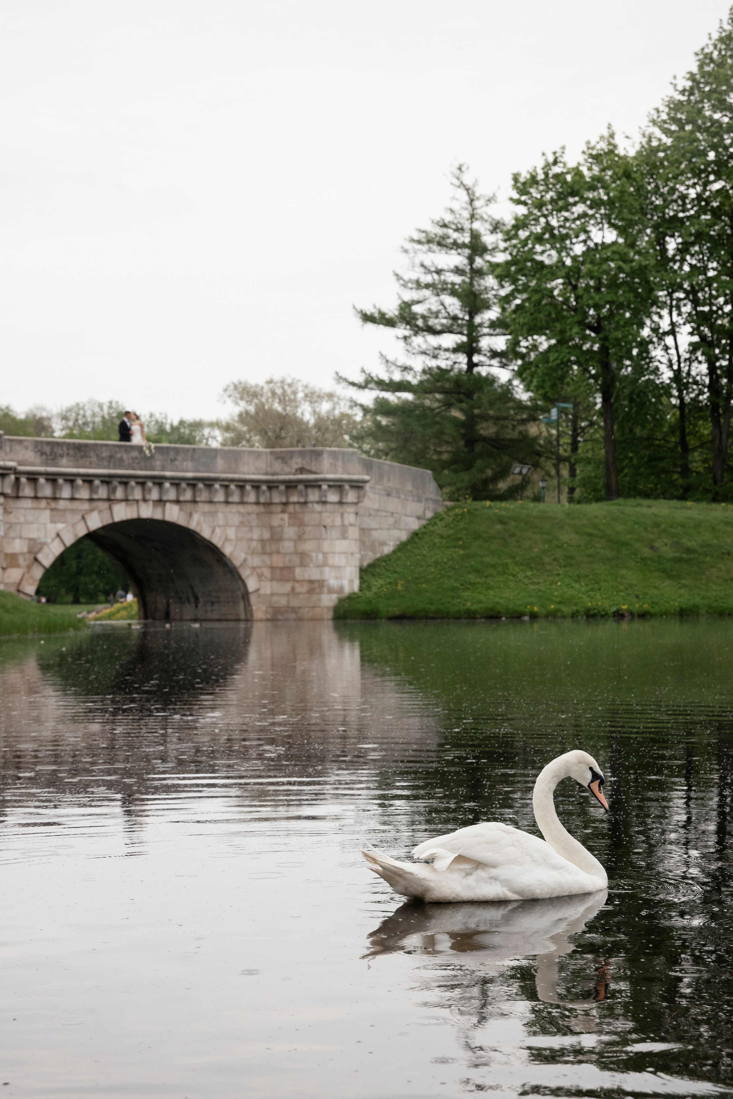 Арина и Игорь. Свадебный и портретный фотограф