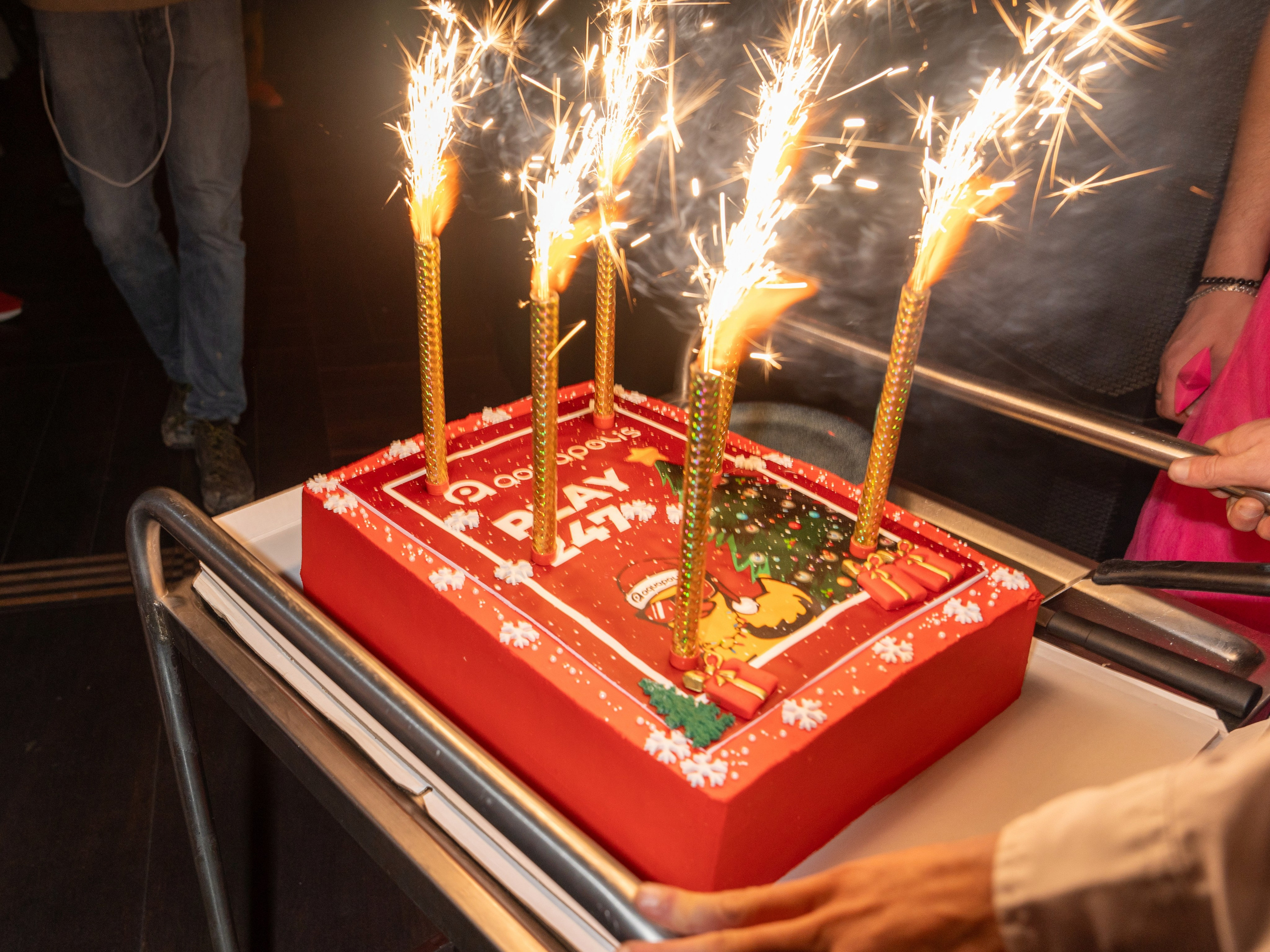 Гала-ужи «Акваполис». Репортажный фотограф в Красной Поляне и Сочи Павлюченко Екатерина