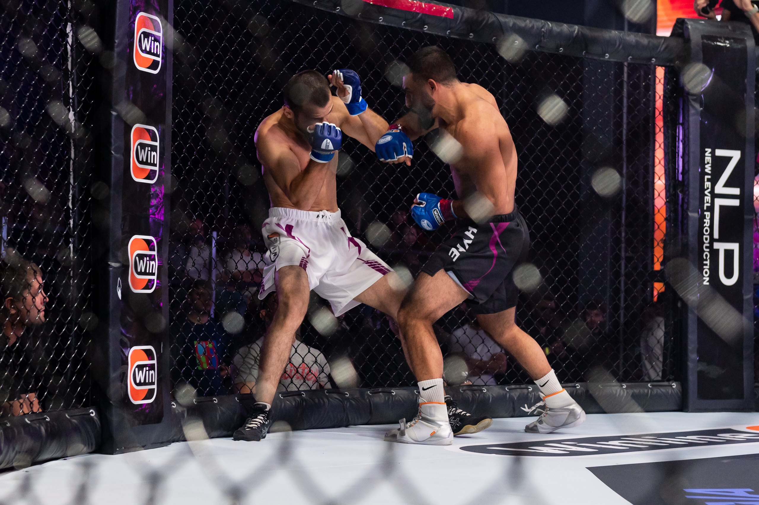 Бои. Репортажный фотограф в Красной Поляне и Сочи Павлюченко Екатерина