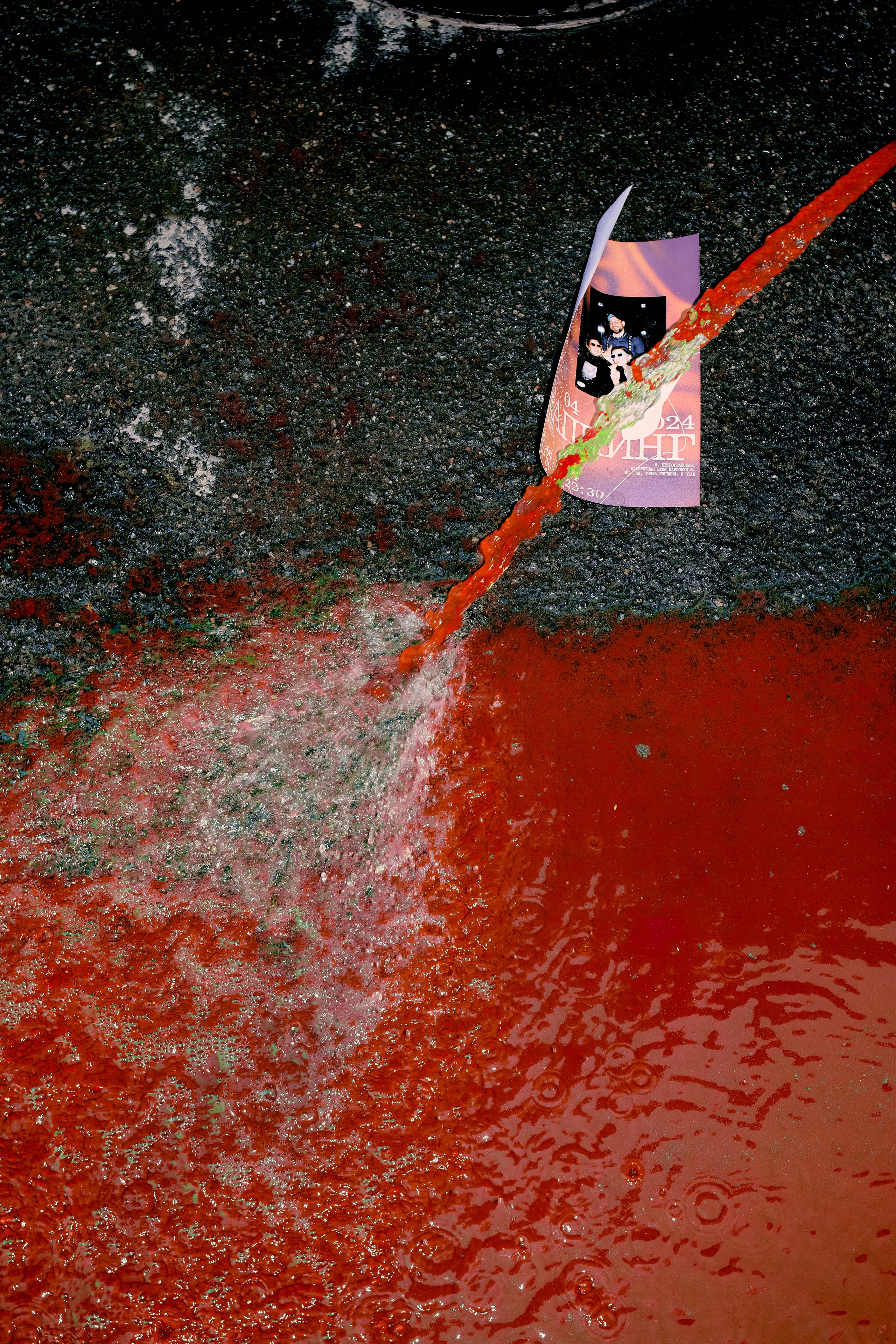 Проект «Зерно». Фотограф|Санкт-Петербург