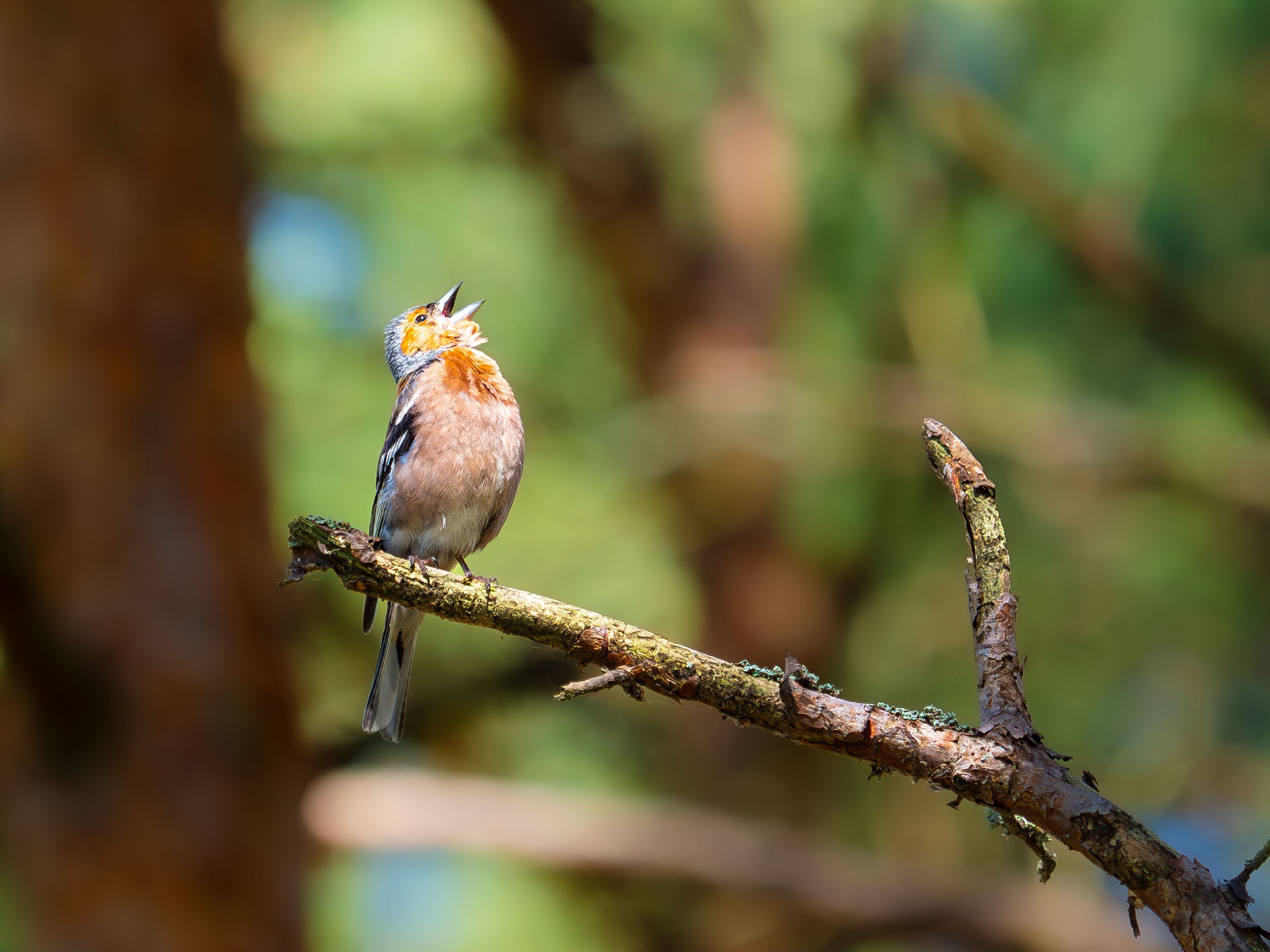 Владимир Альбов — фотографирую!