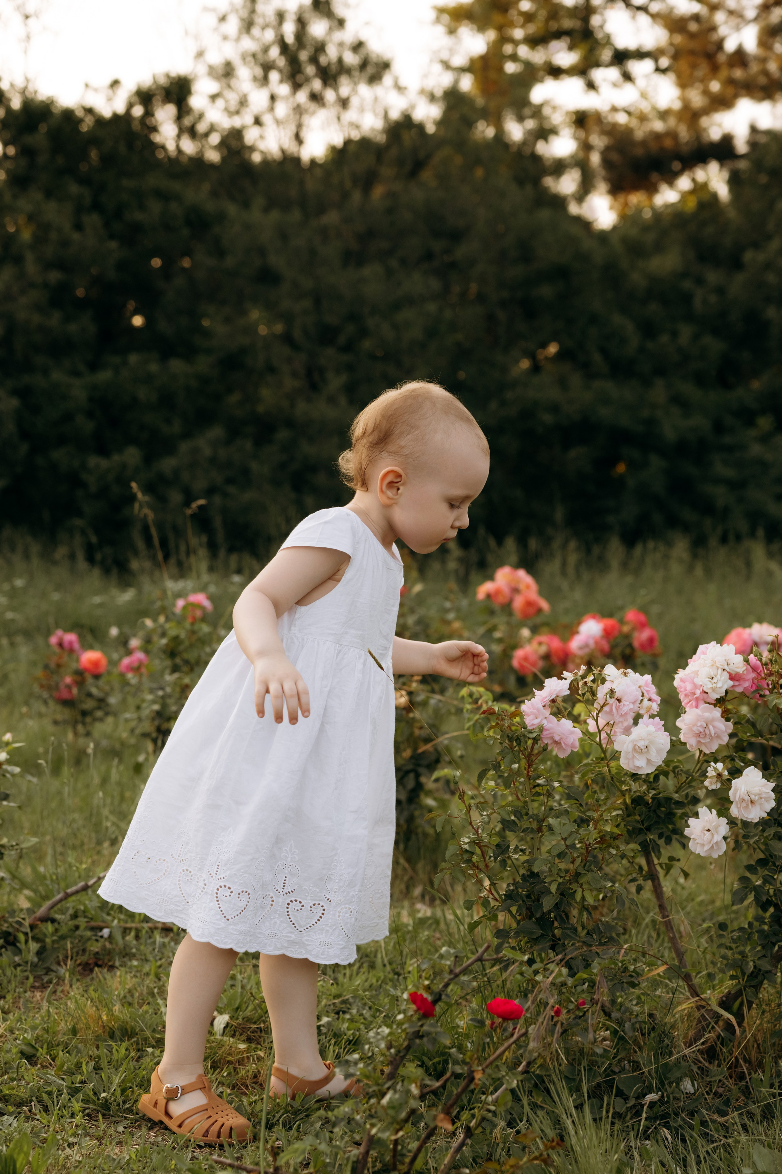Ботанический сад. Свадебный и семейный фотограф Краснодар, Юлия Потопахина