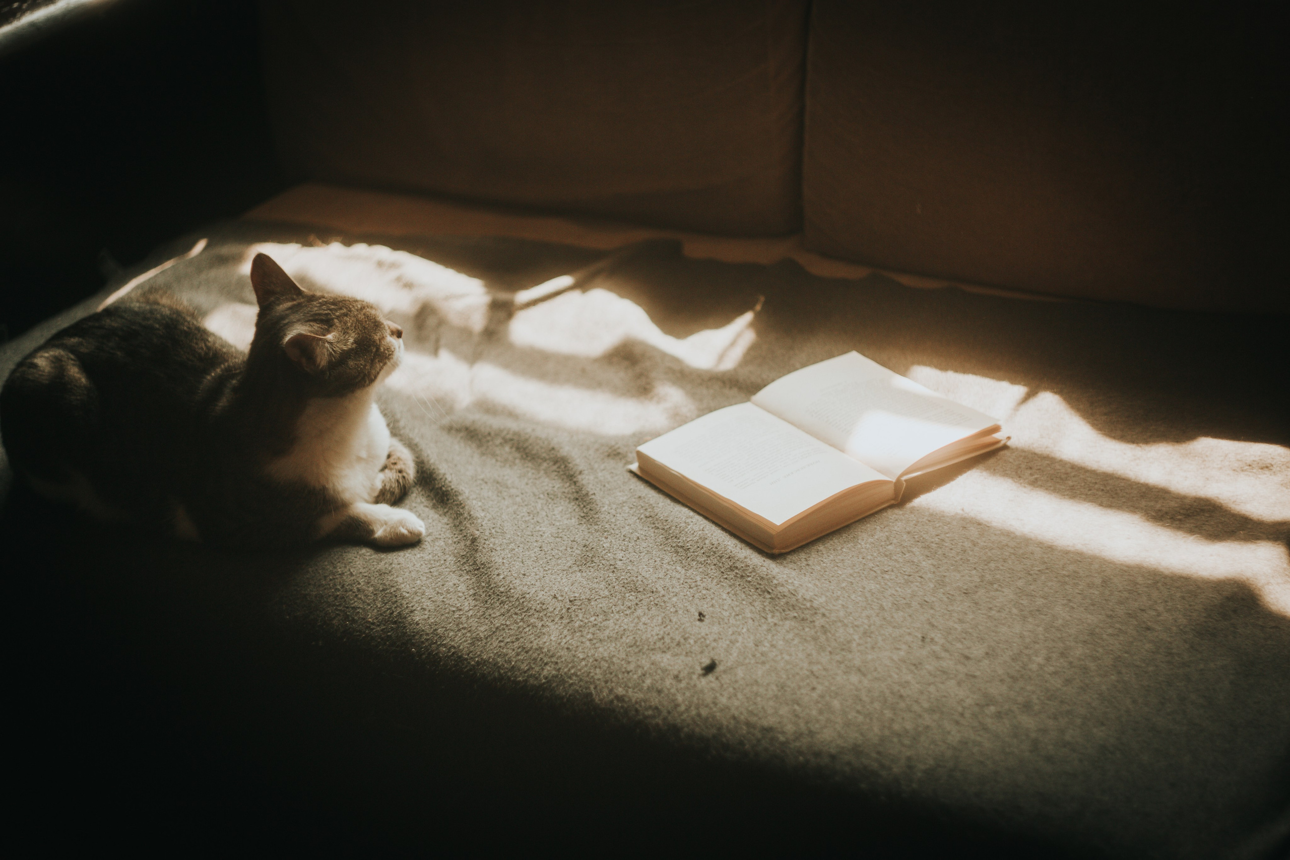 Юля Заковеря. Фотограф в Нижнем Новгороде