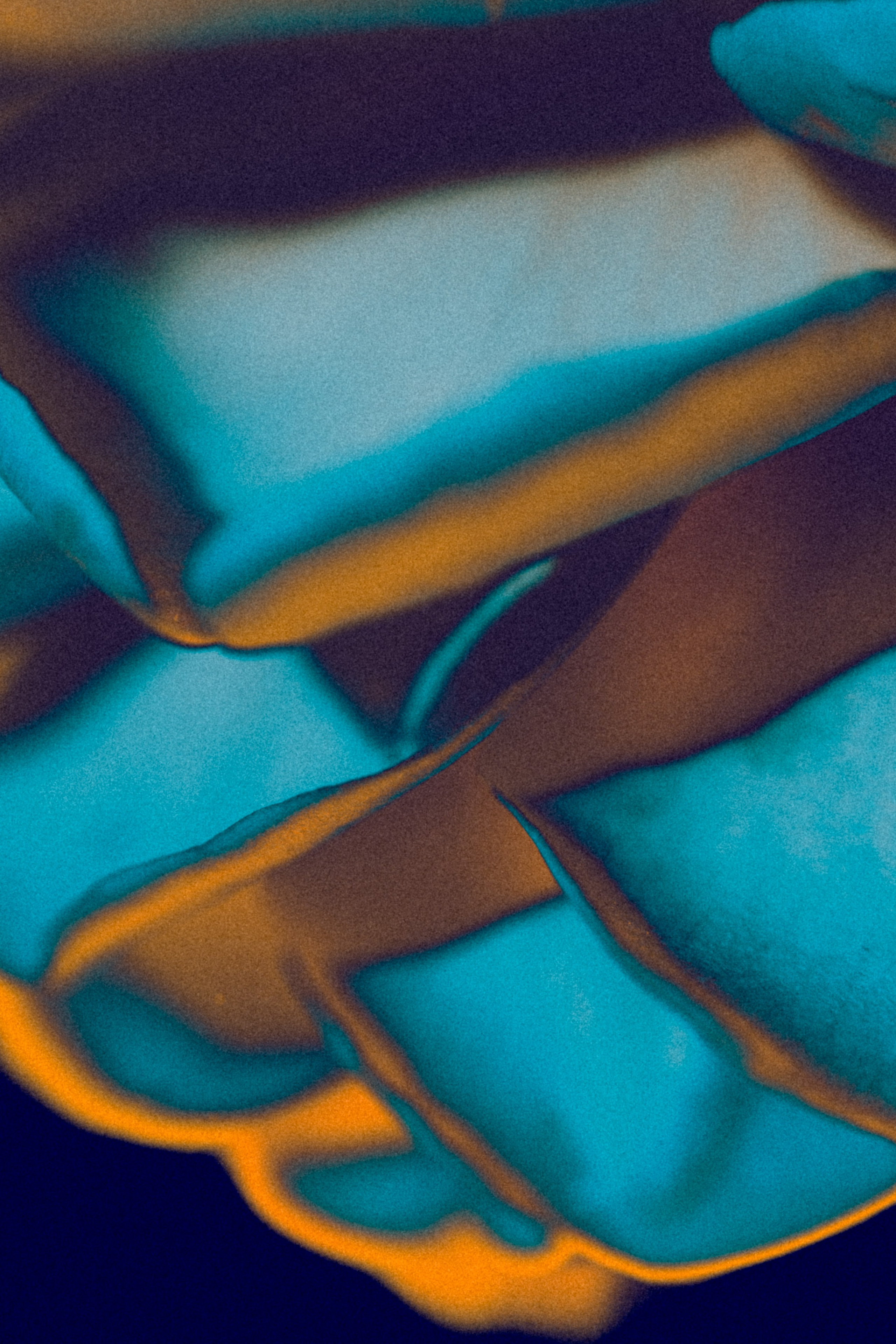 Хокку цветок 