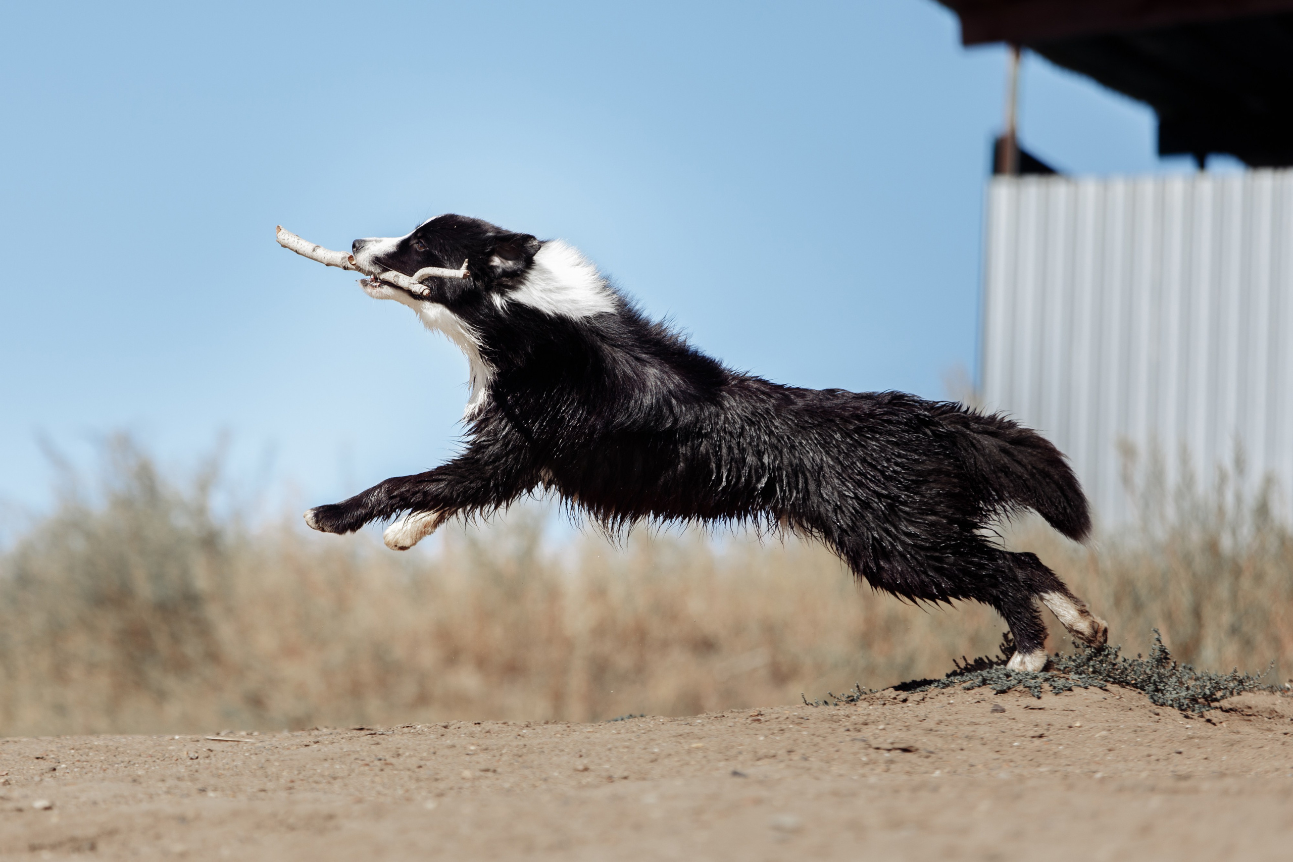 Водяные в Новотроицке. О нас