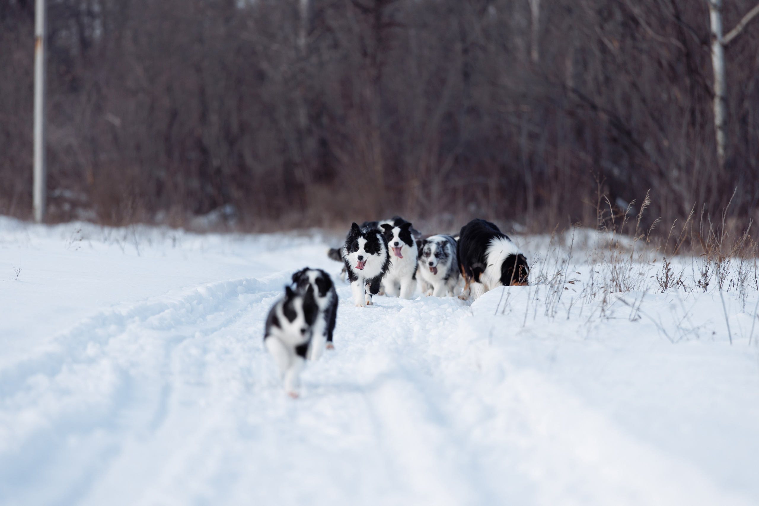 Яркий январь. О нас