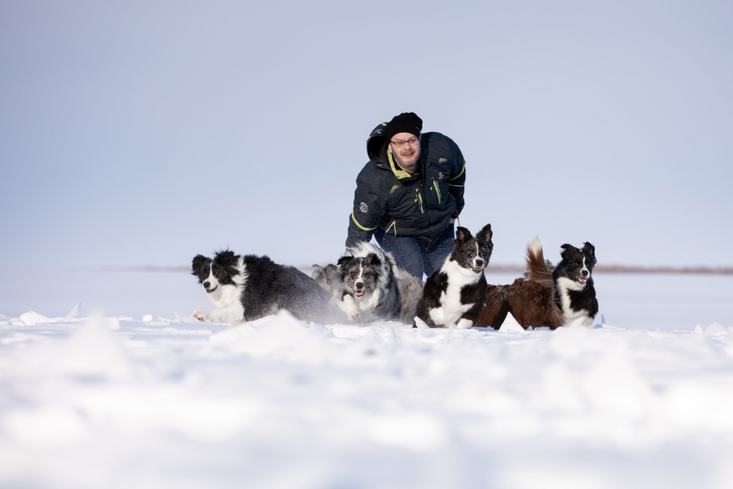 Мороз и солнце. О нас