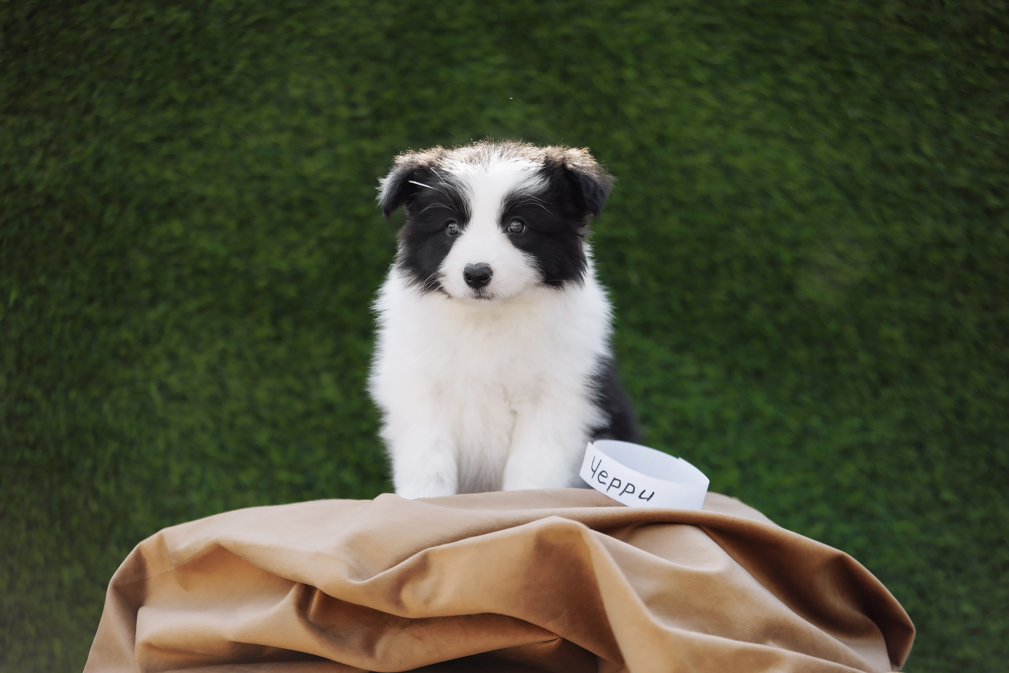 Новый лист. О нас