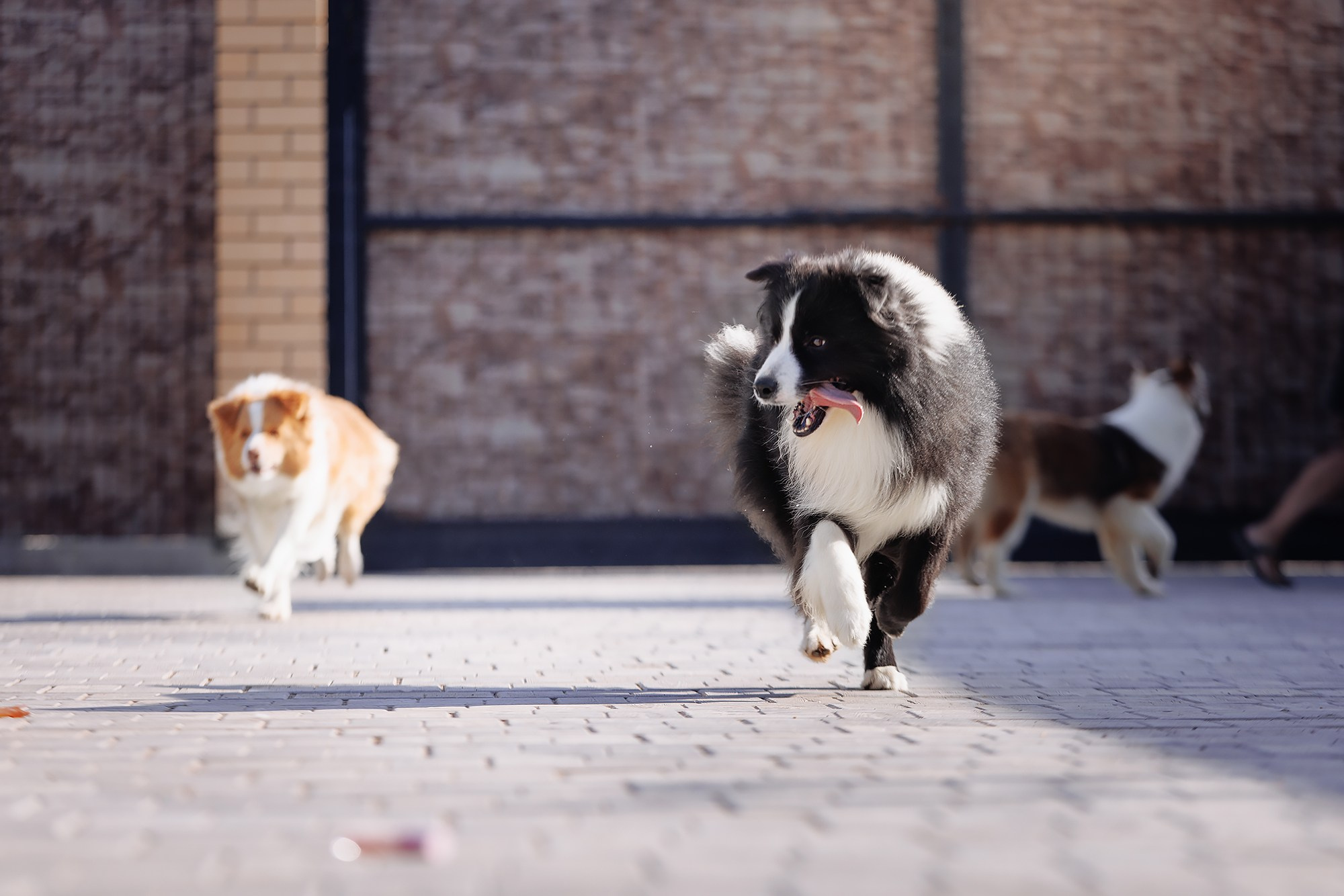 Трава у дома. О нас