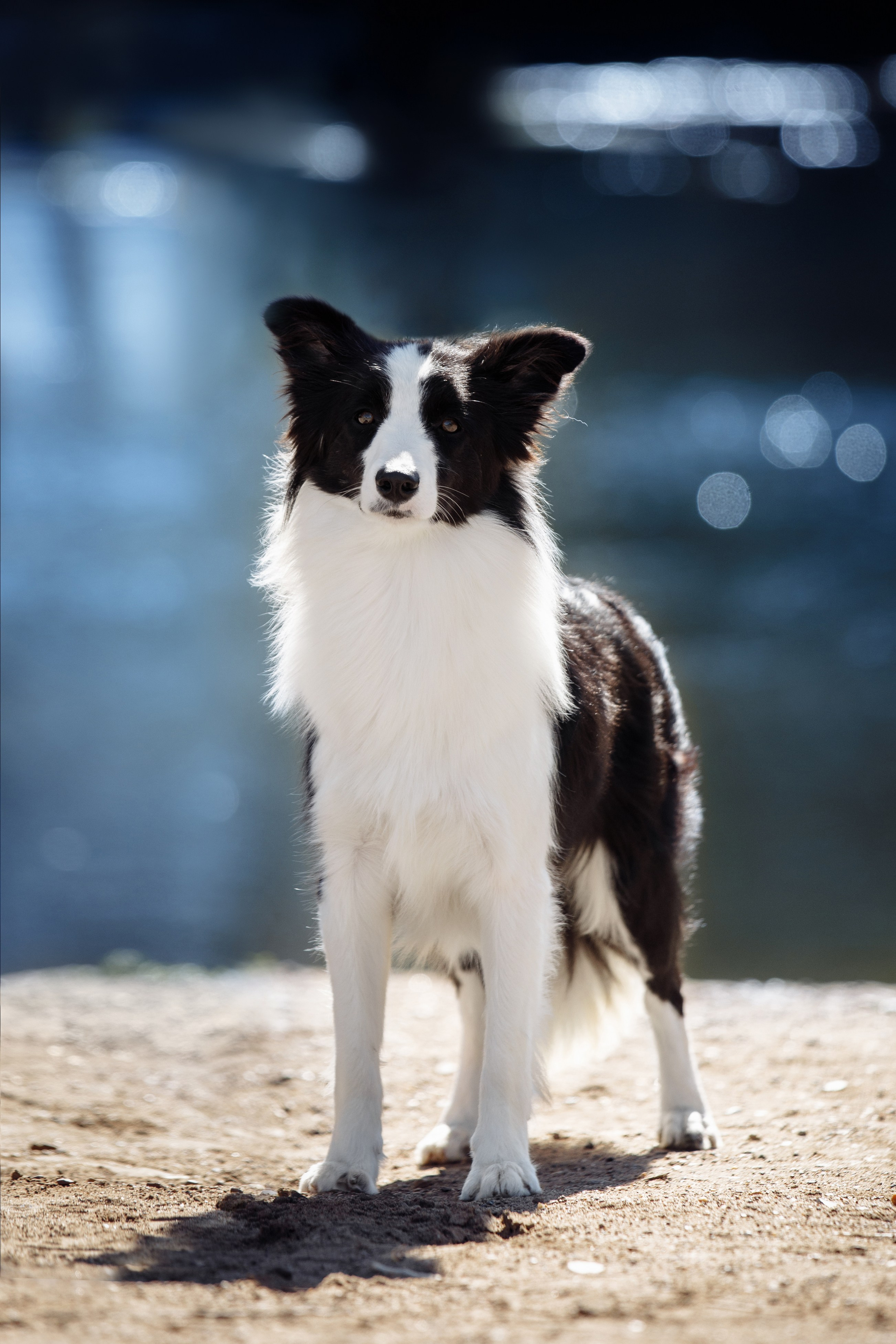 Водяные в Новотроицке. О нас