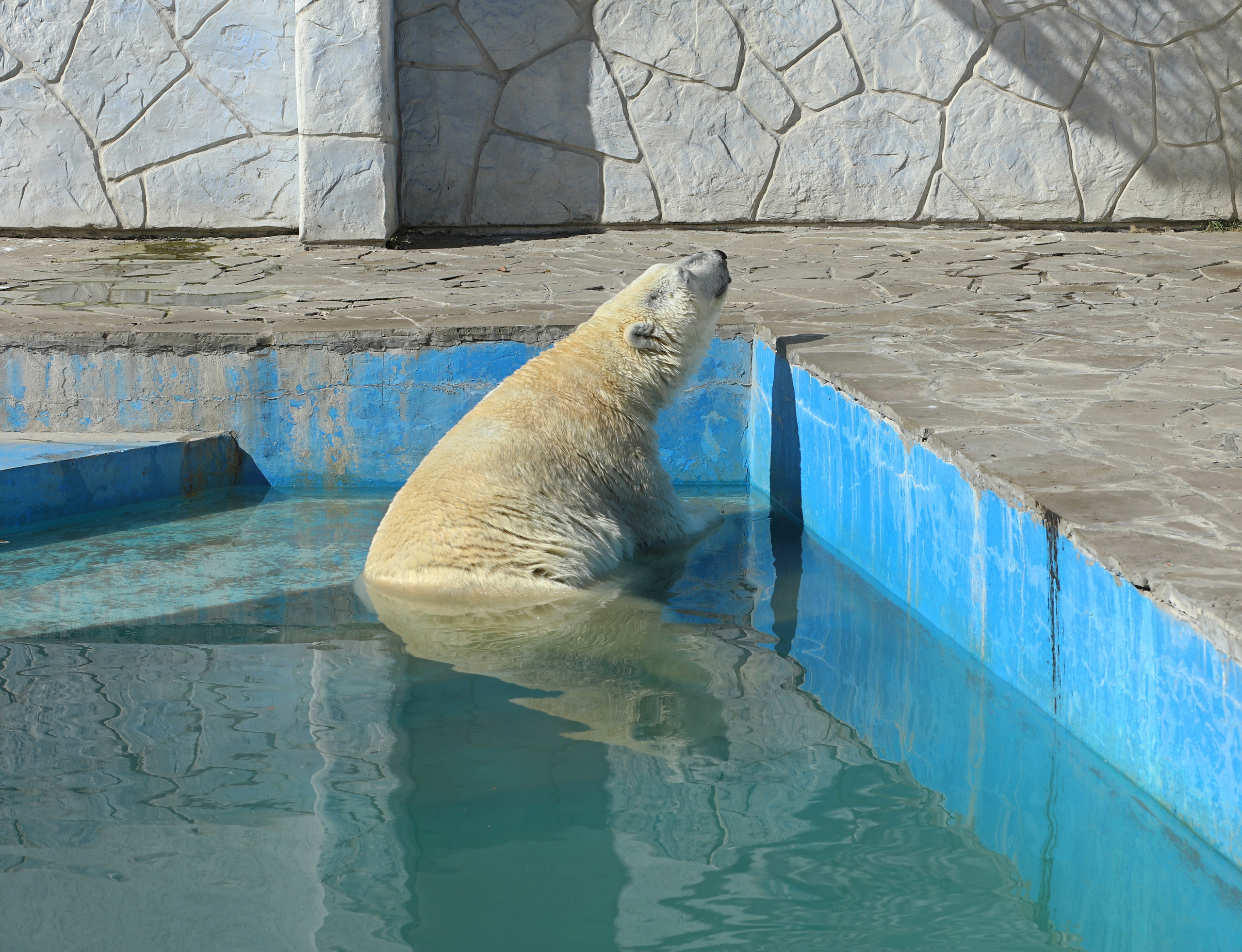 Ростовский зоопарк. Фото-художник и Репортажный фотограф Николаев Александр Алексеевич