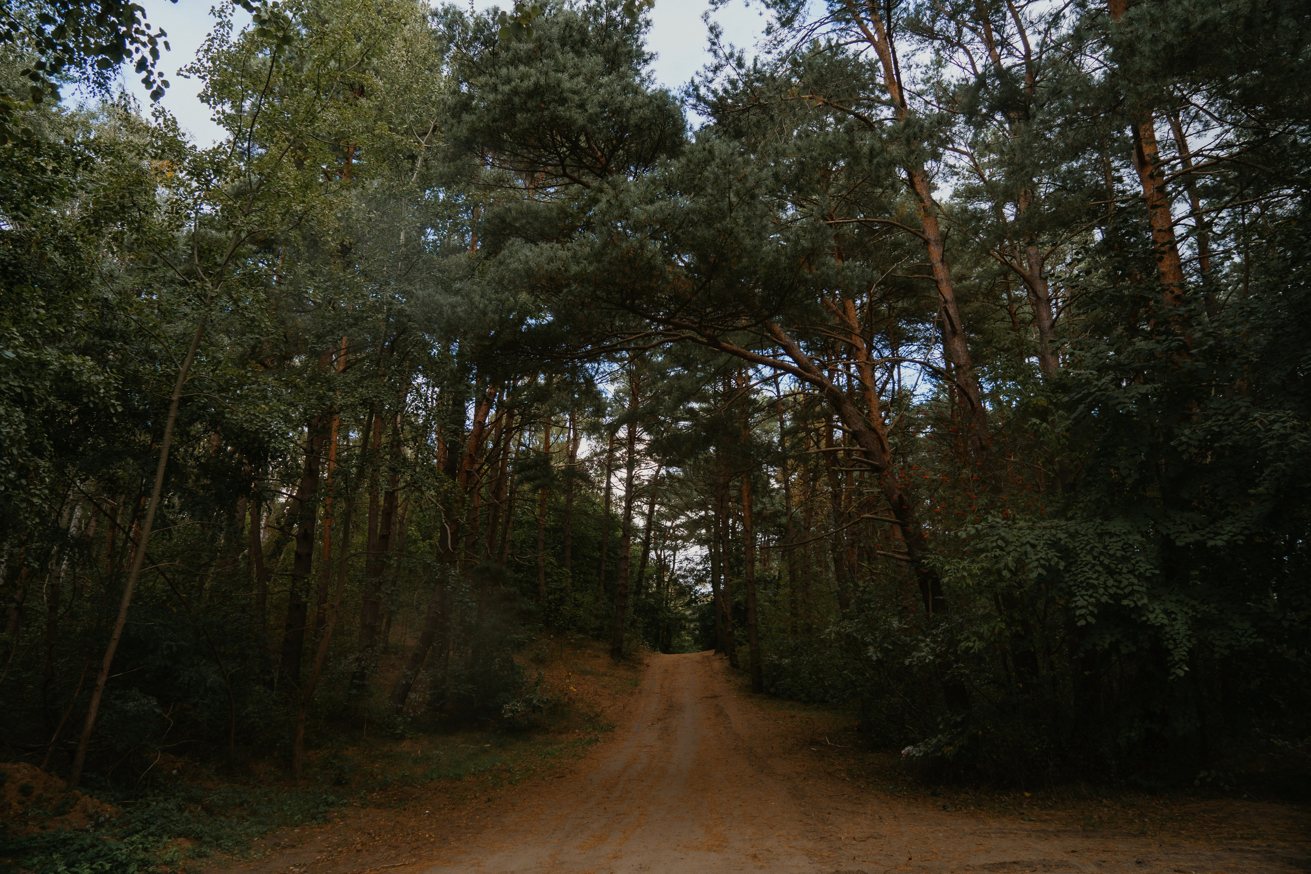 Балтийск/Калининград. Свадебный и семейный фотограф/видеограф в Краснодаре Наталья Осинская