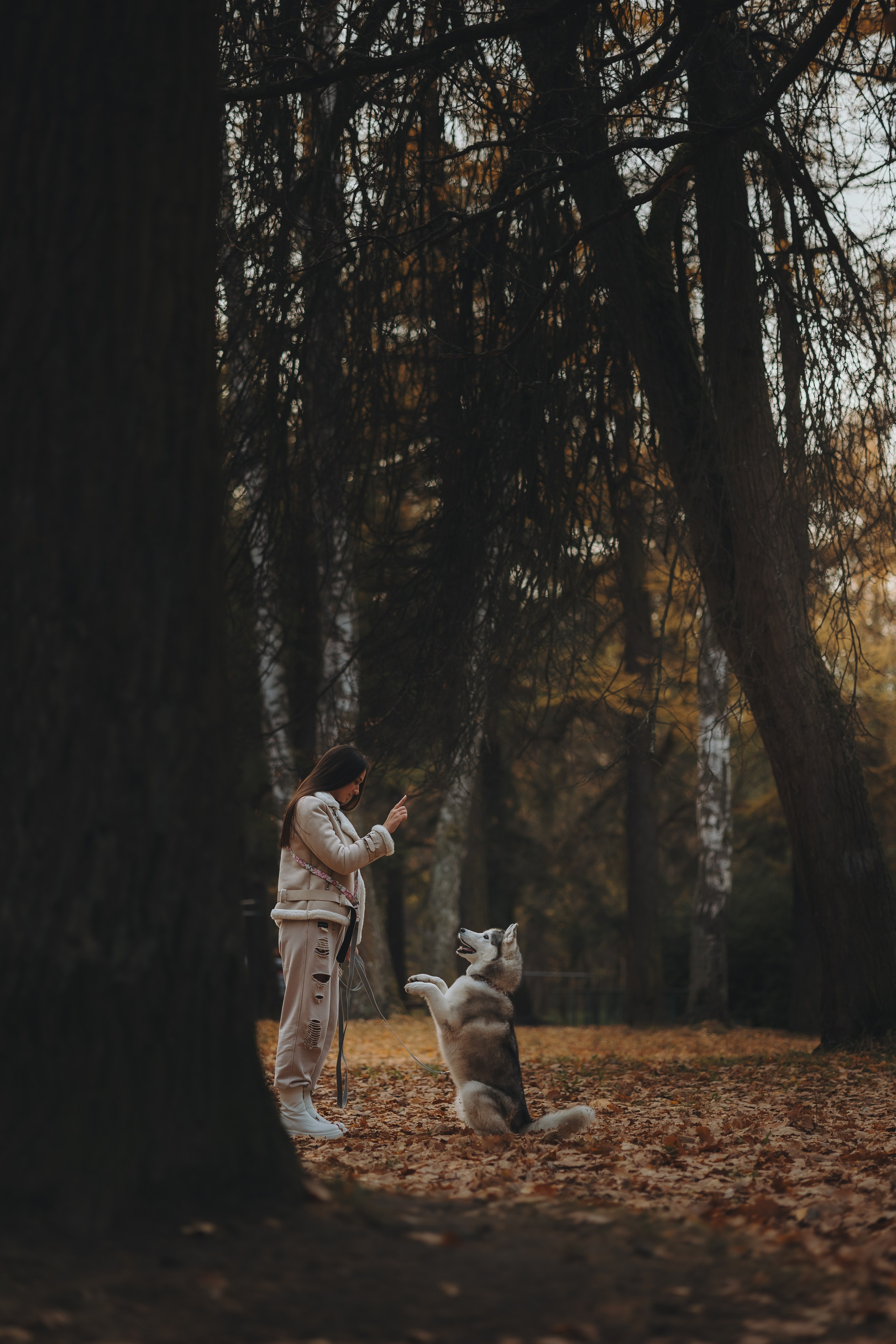 Настя и Айс. Фотограф-анималист в Санкт-Петербурге Алина Яхонт