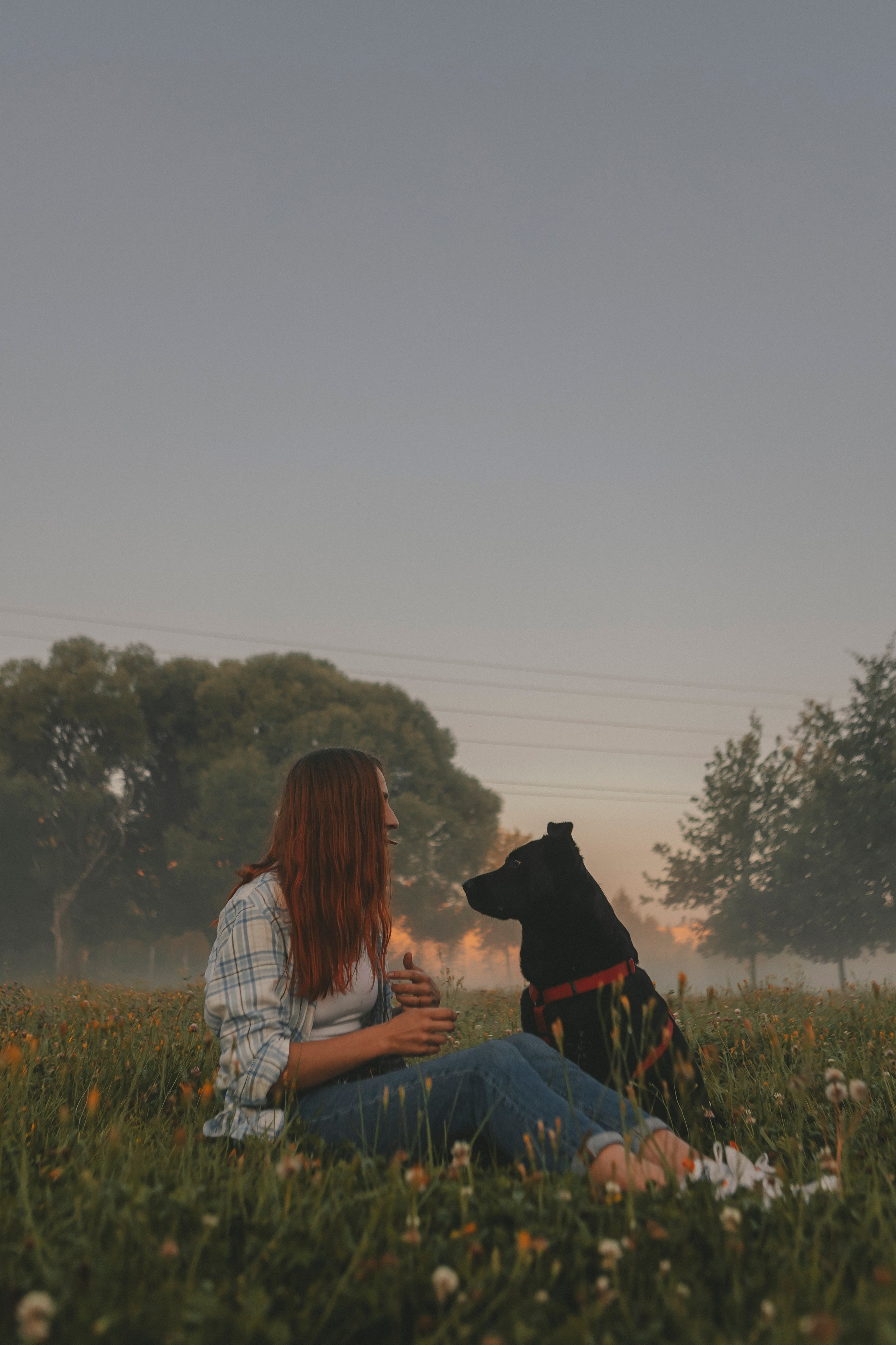 Саша и Дана. Фотограф-анималист в Санкт-Петербурге Алина Яхонт