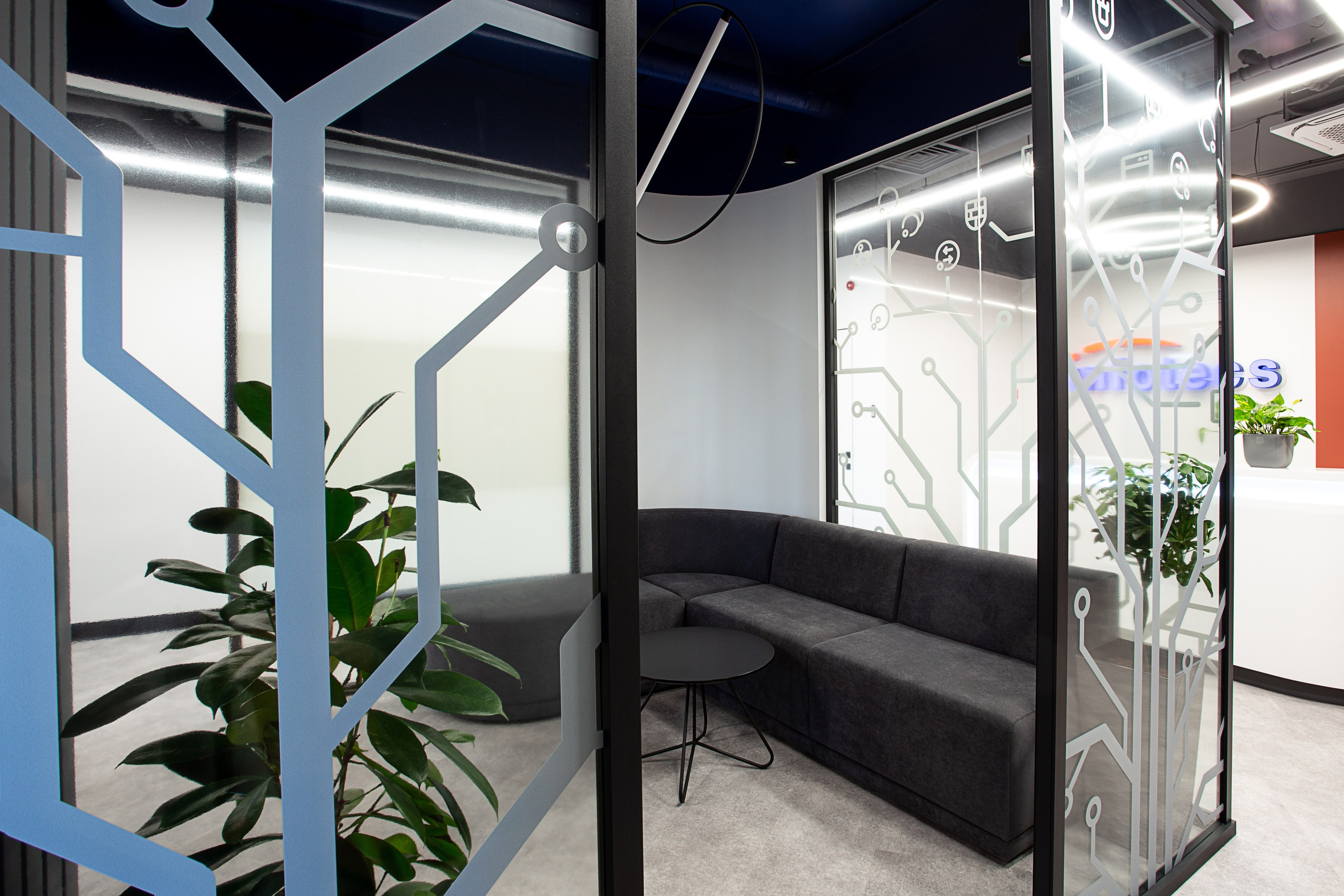 Офисы Инфотех. Контент фотограф, съемка для маркетплейсов, фуд съемка и репортажи в Новосибирске Ралия Галеева