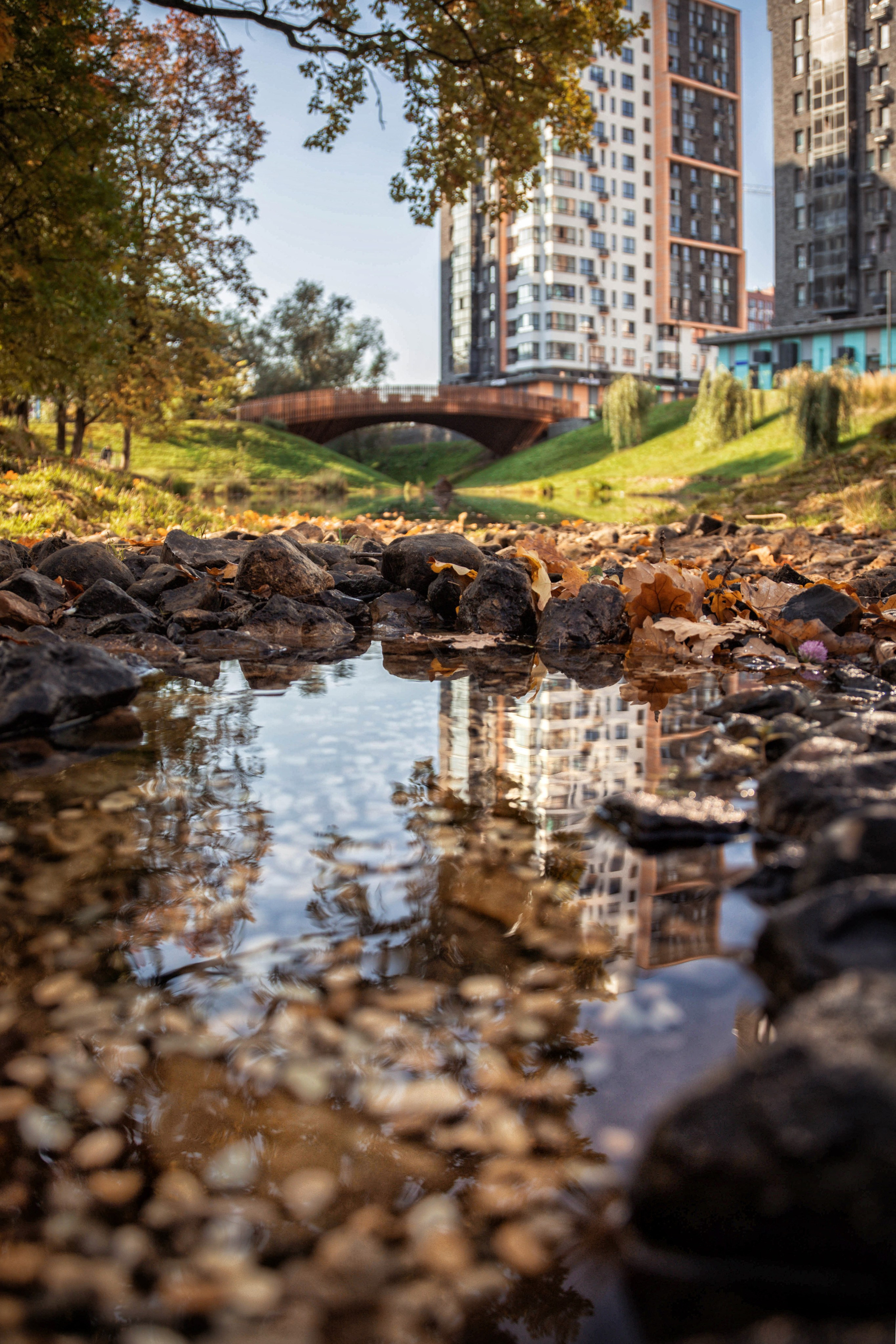В городе. Фотограф Виктория Субочева