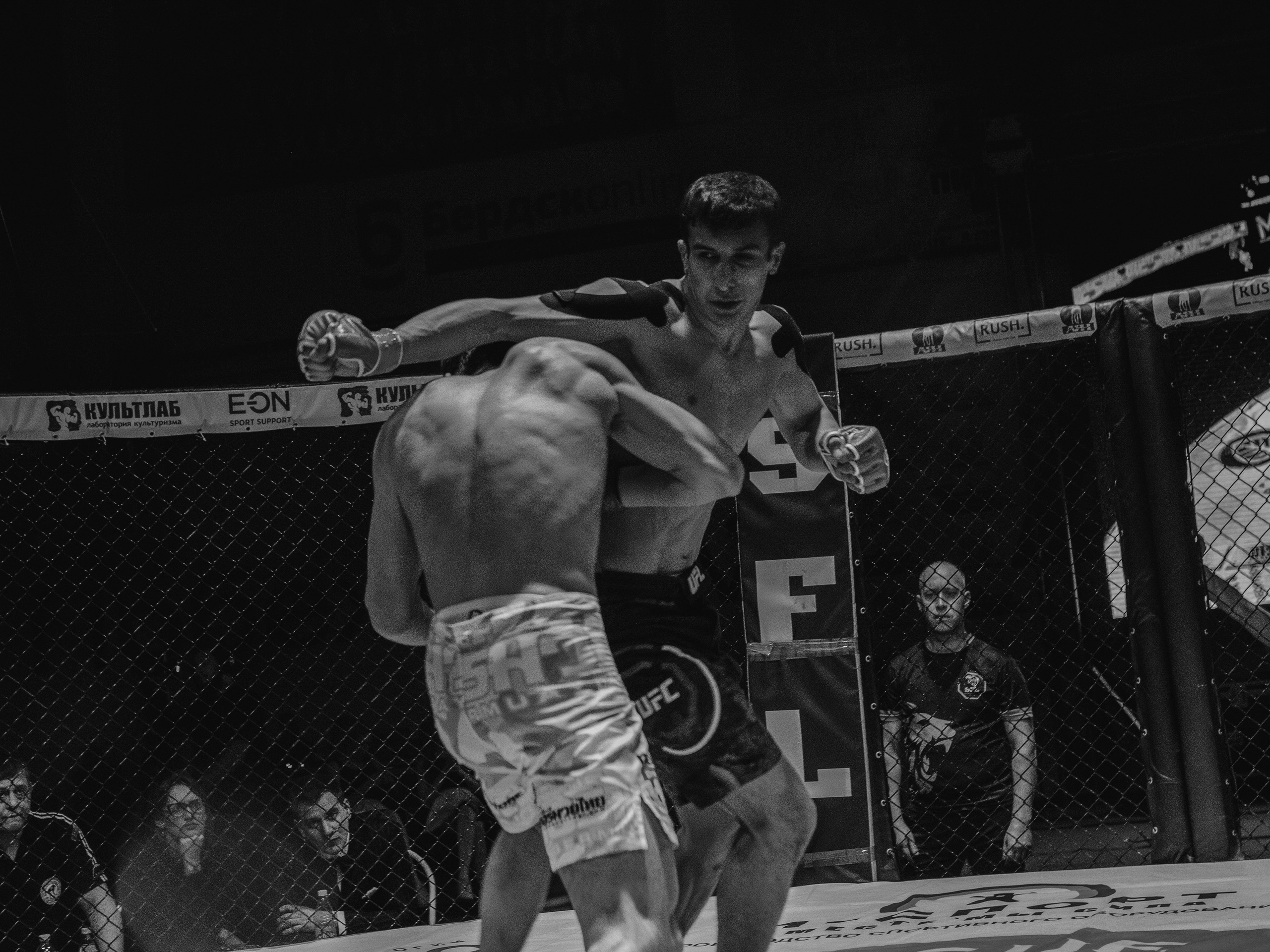 SFL 17 | Siberian Fighting League. Портретный фотограф в Москве Дарья Цезария