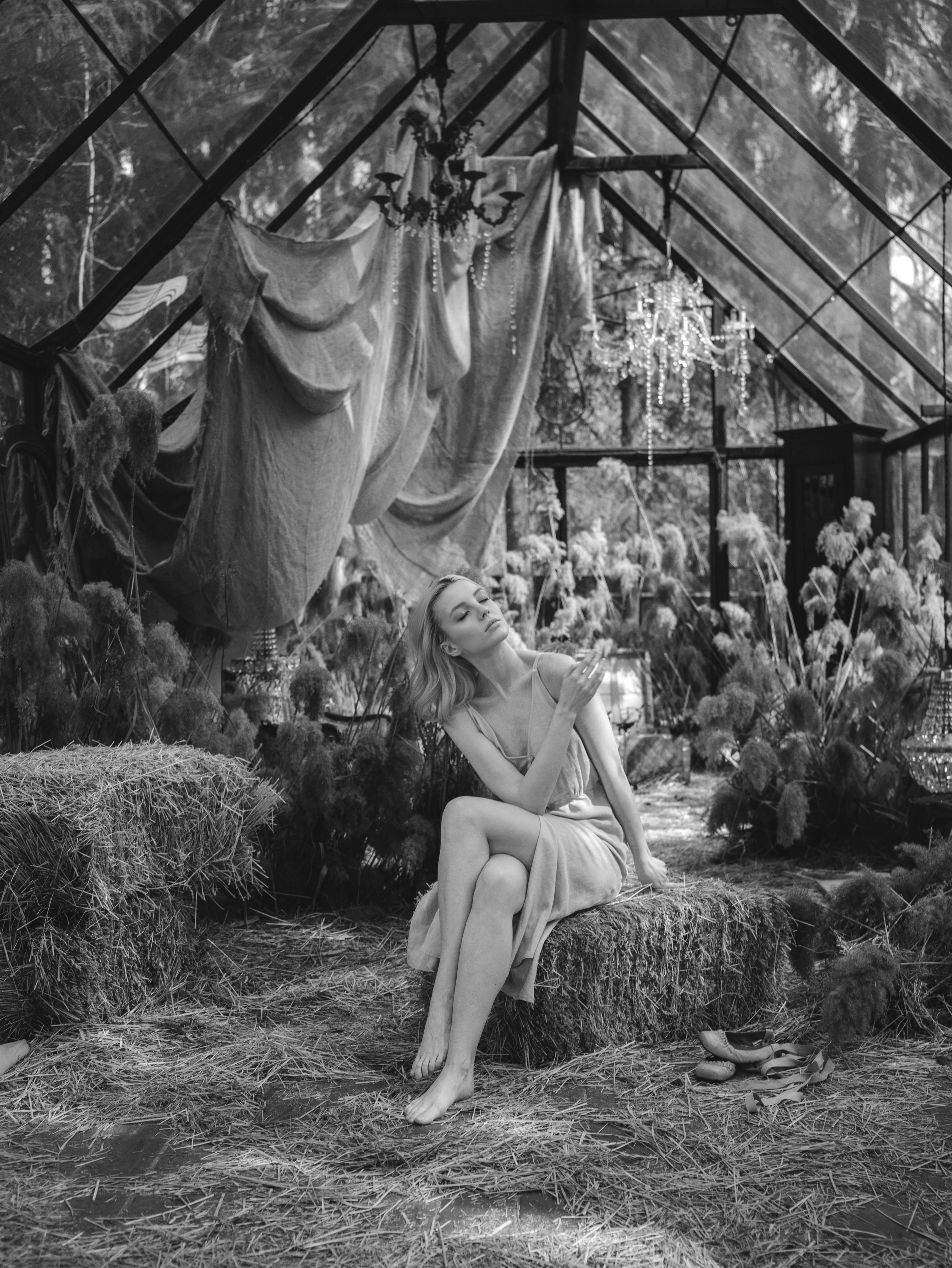 История со скрипкой. Свадебный и семейный фотограф в Москве Мила Широких