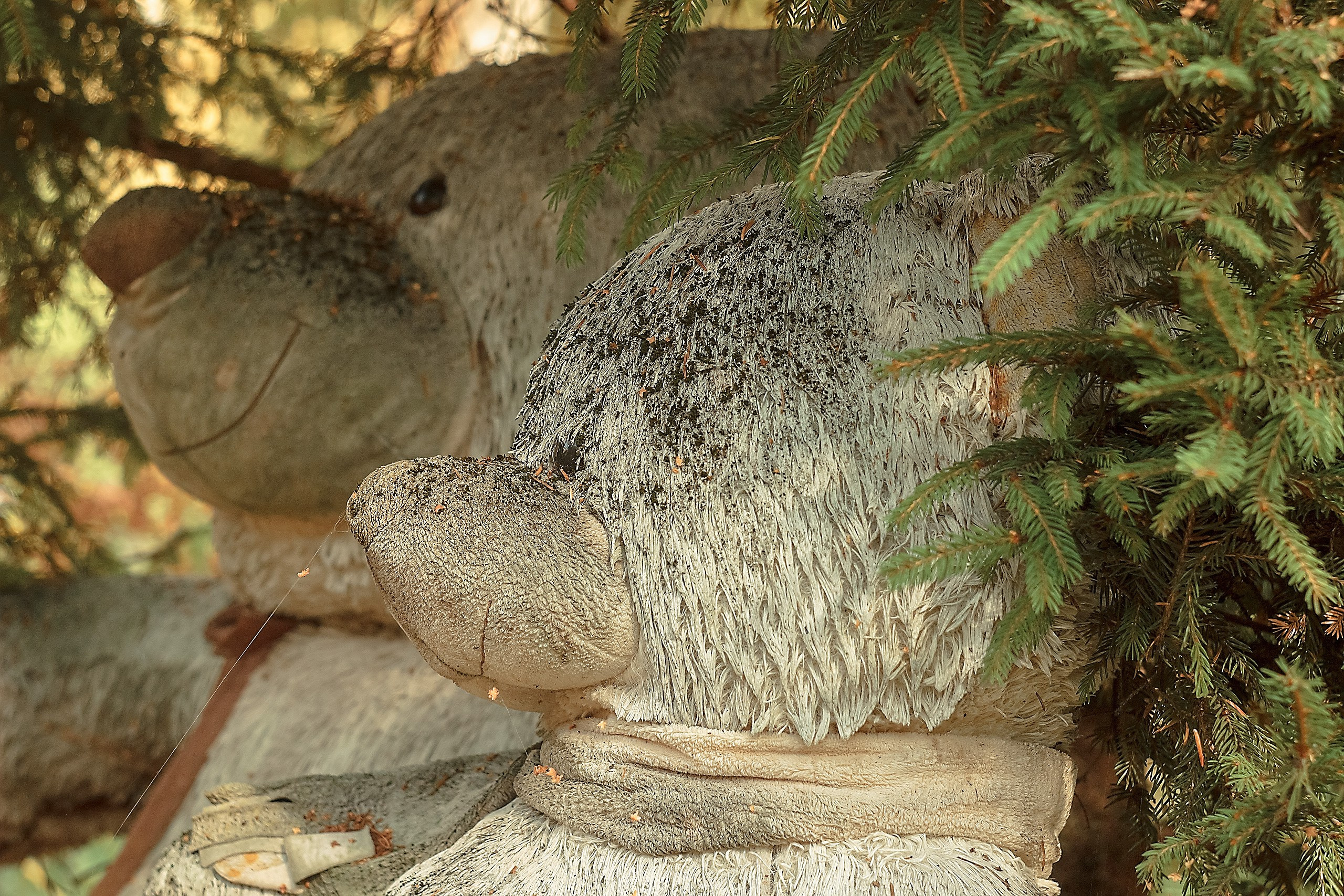 Сказка — Быль. Аmat Victoria Сuram