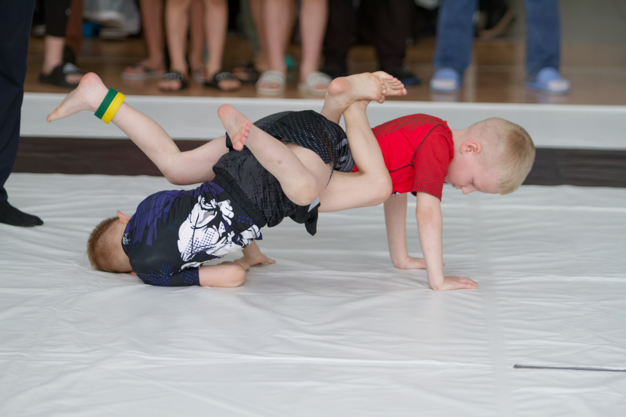 Борьба. Джиу-джитсу 26.04.2025. Репортажный и спортивный фотограф в г. Пермь Зильберг Павел