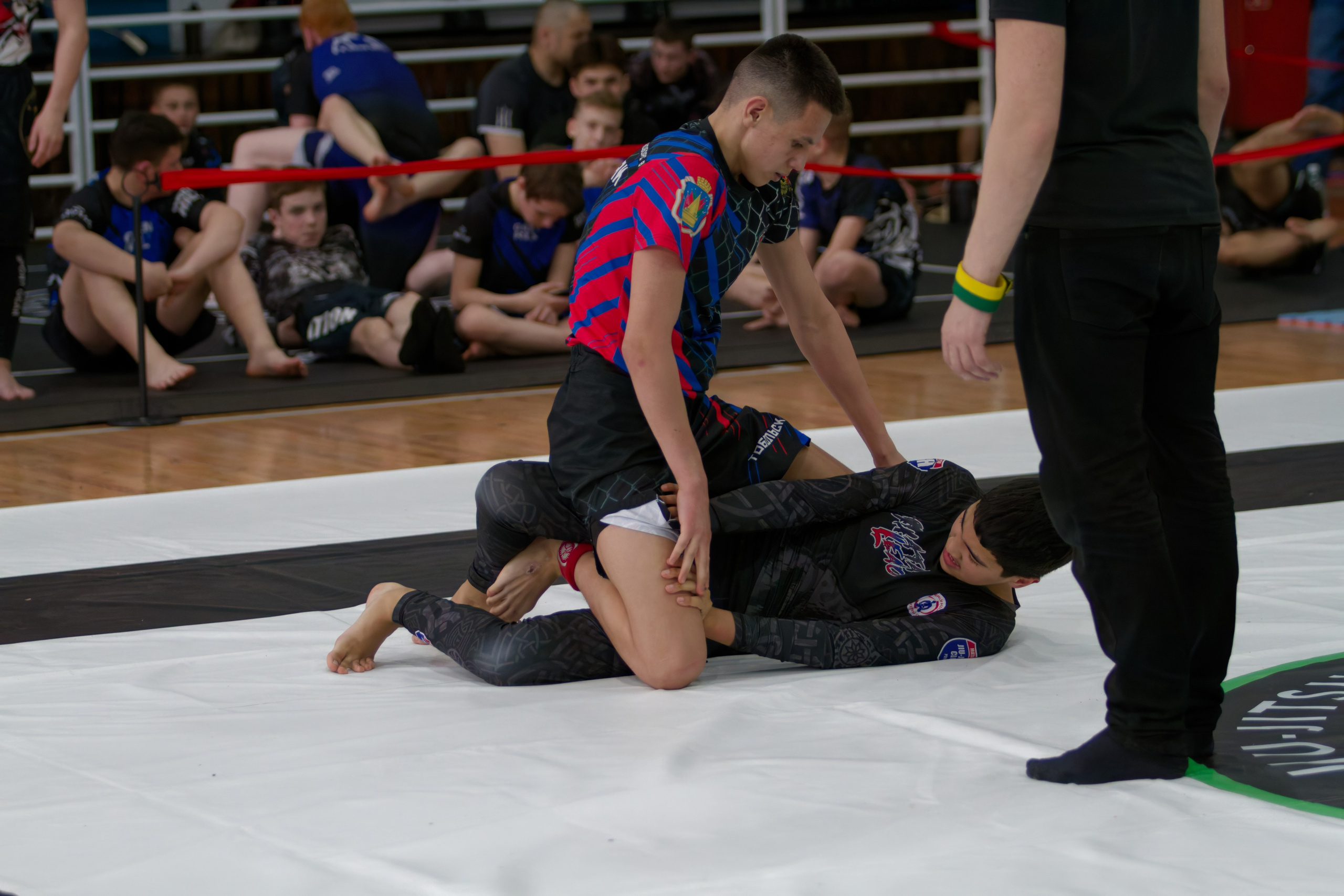 Борьба. Джиу-джитсу 26.04.2025. Репортажный и спортивный фотограф в г. Пермь Зильберг Павел