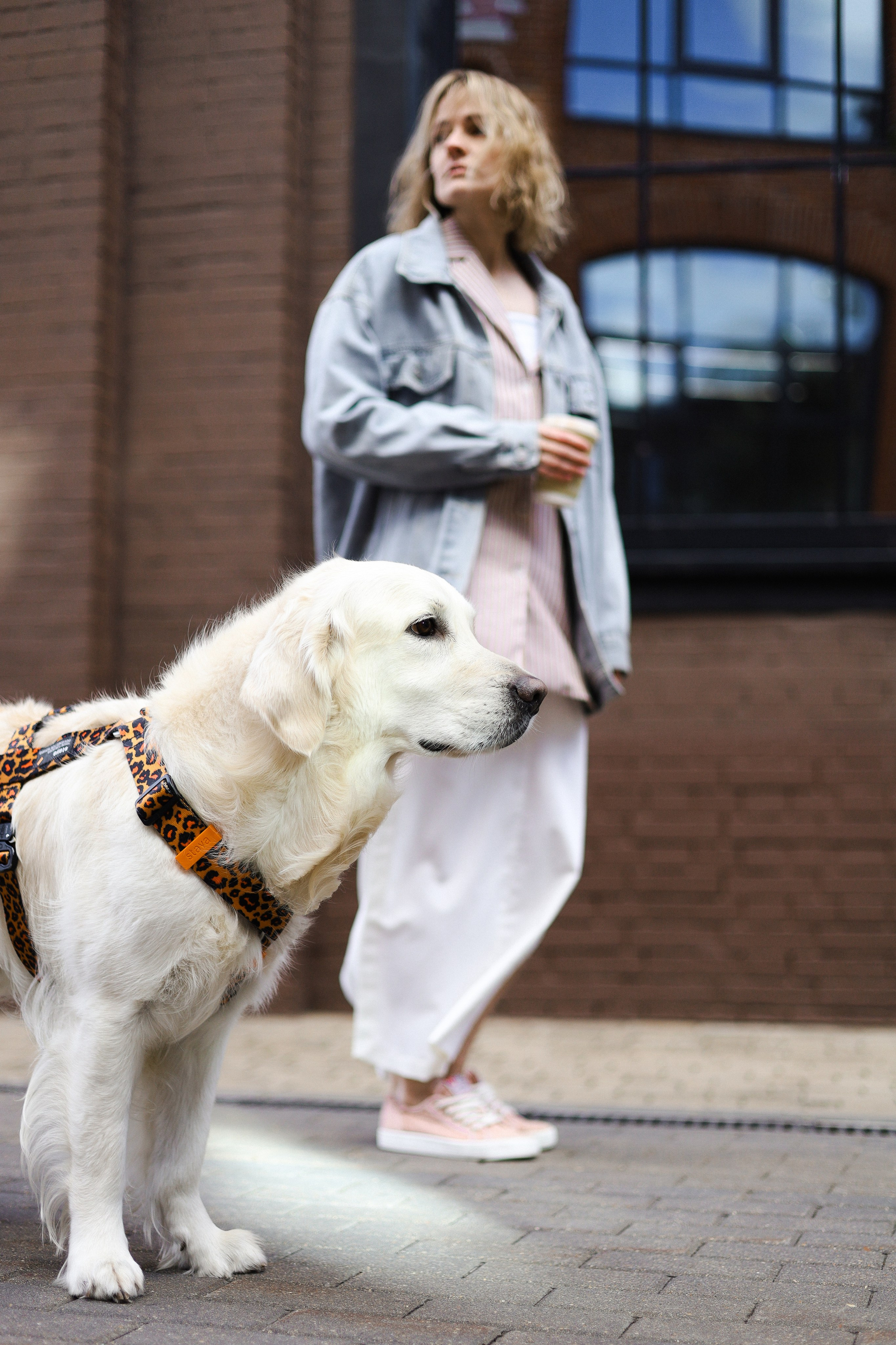 Зиз и Юля. Часть 3. Фотограф-анималист Ксения Шевцова|Москва