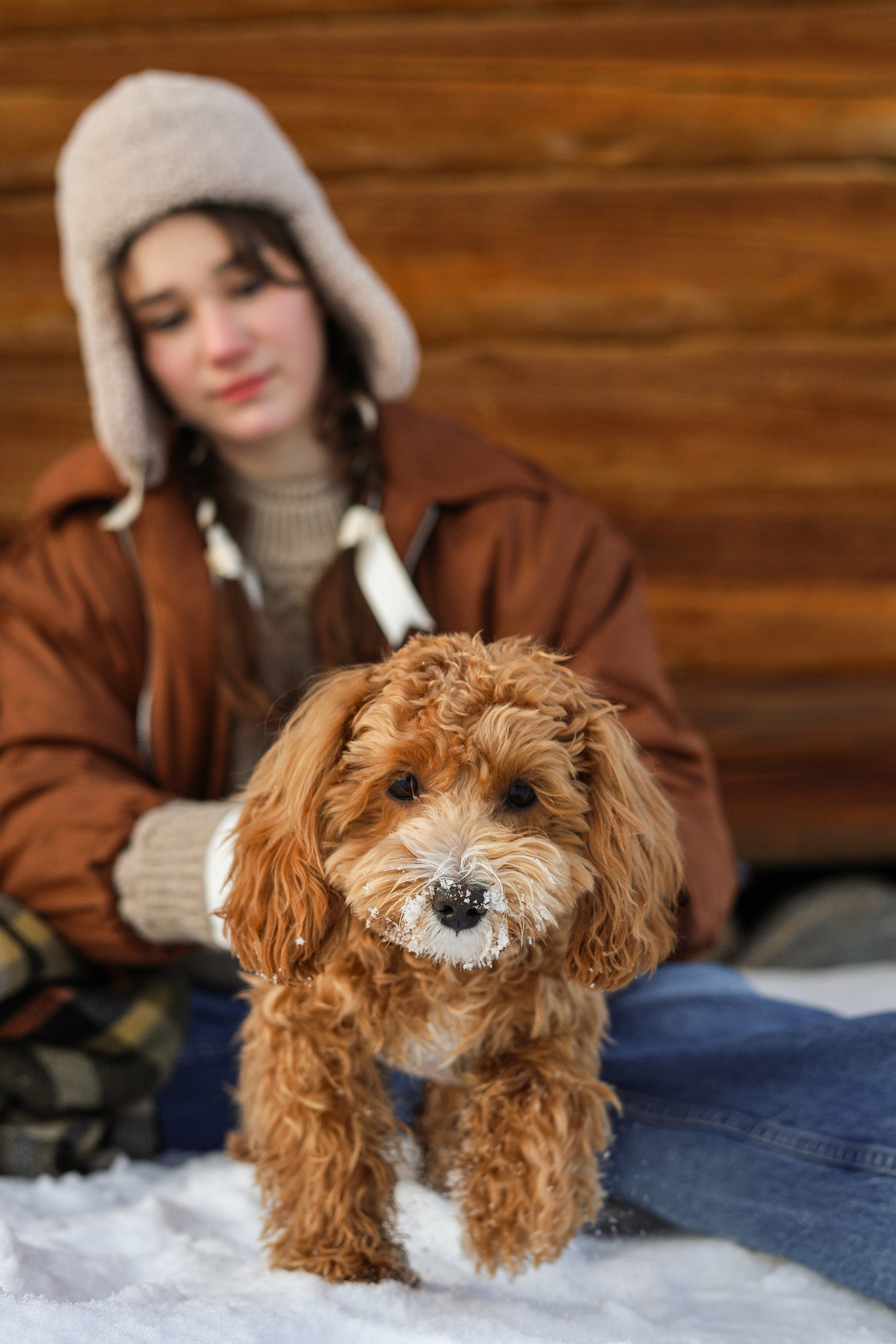 Вики и Ева. Фотограф-анималист Ксения Шевцова|Москва