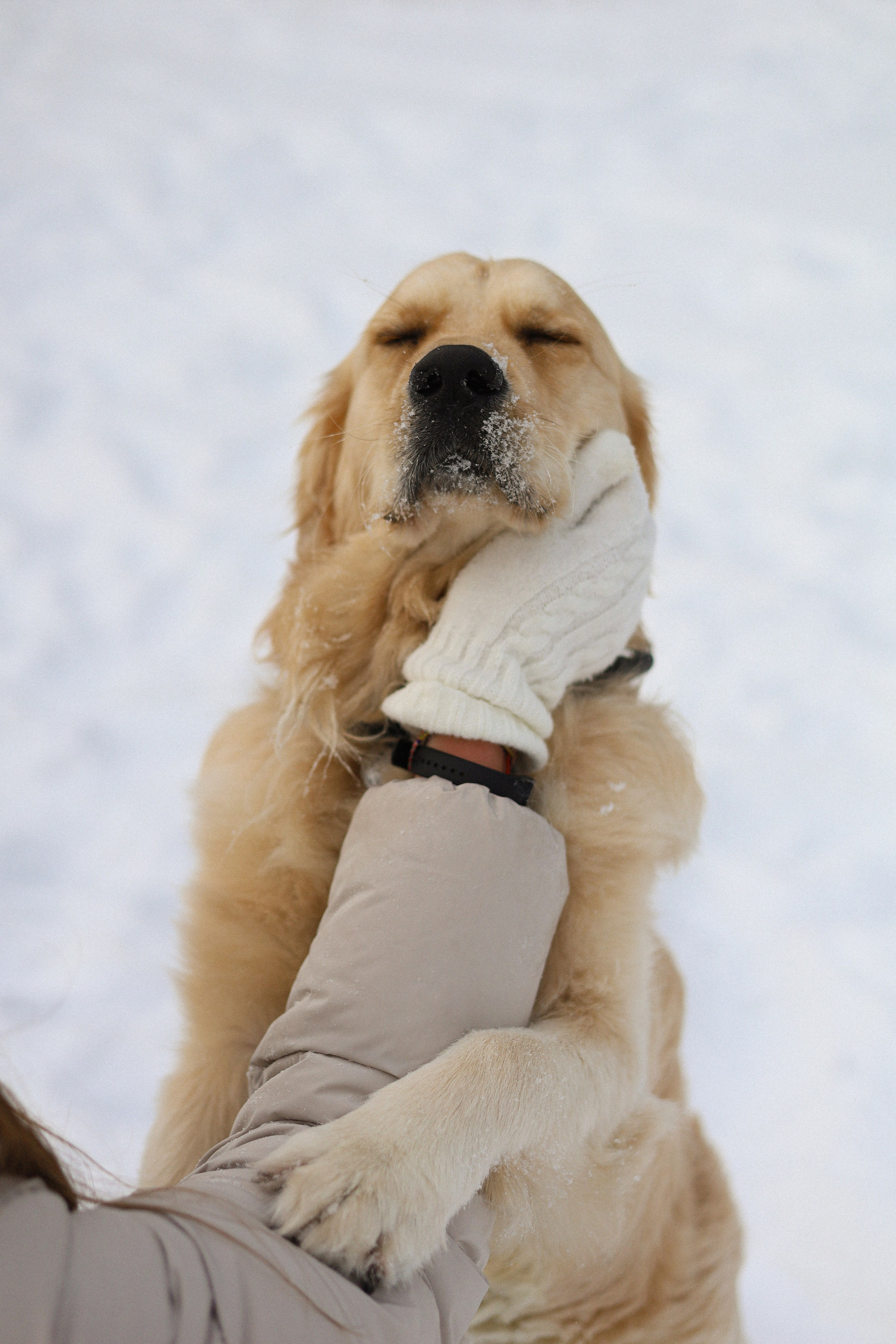 Стивен, Лена и Миша. Фотограф-анималист Ксения Шевцова|Москва