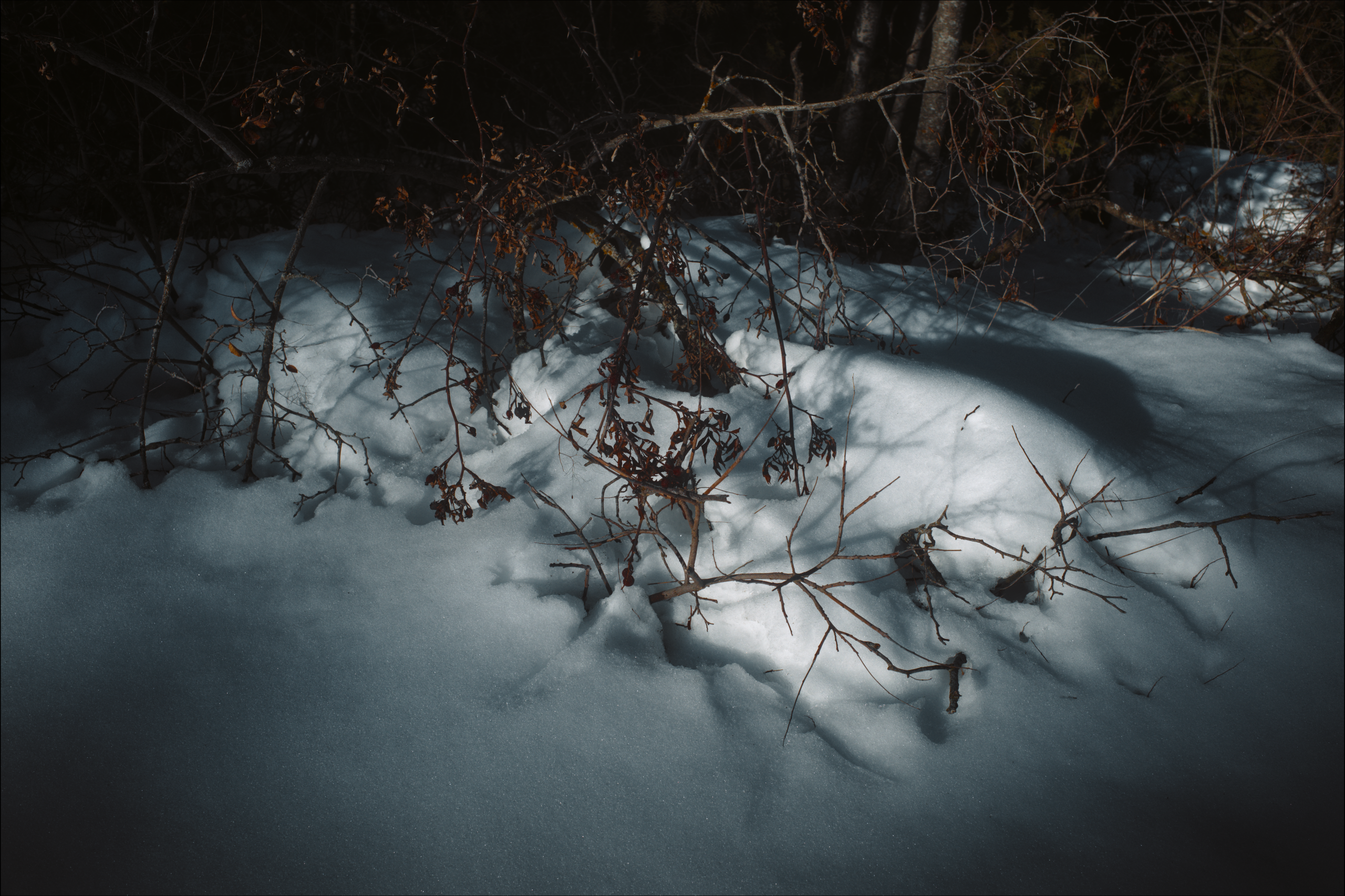 Winter in Sakartvelo. Viktor Garshnep Documentary Photographer