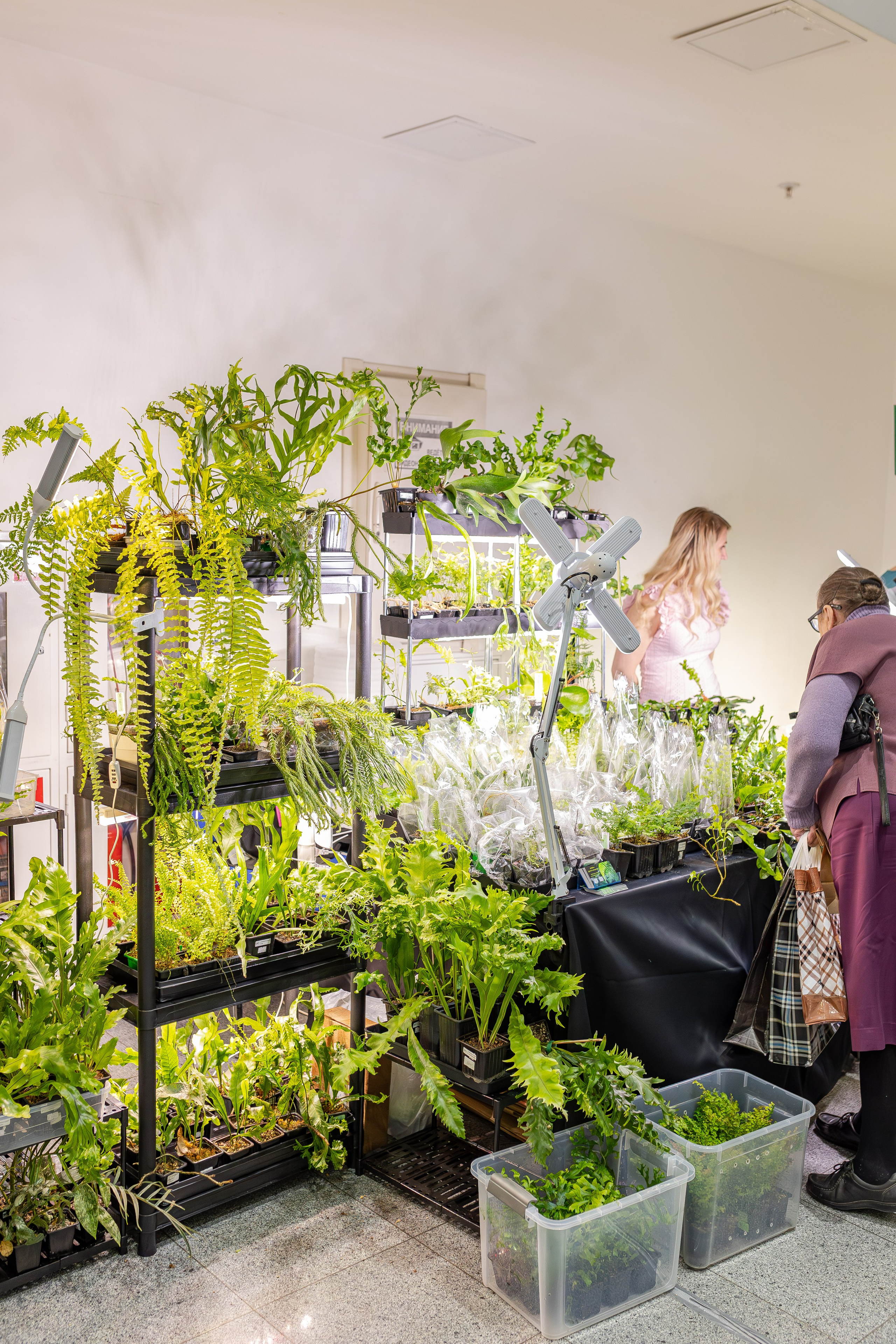 Монстериум апрель 2026. Александра Куликова фотограф, Москва