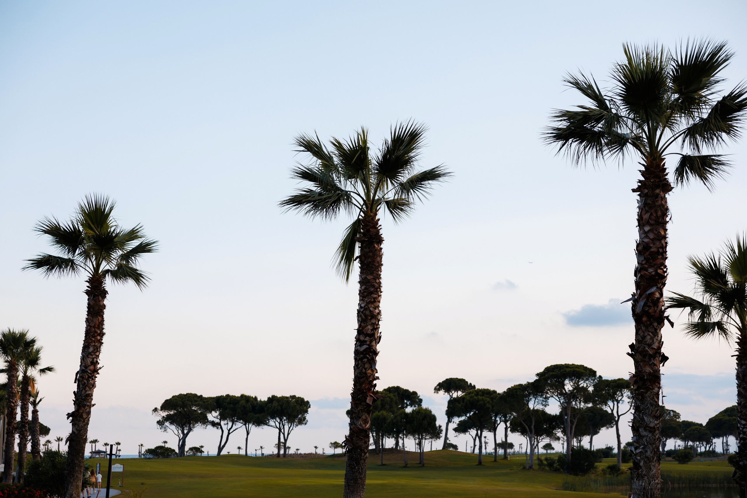 EVENT PHOTO. Фото и видео съёмка в Санкт-Петербурге