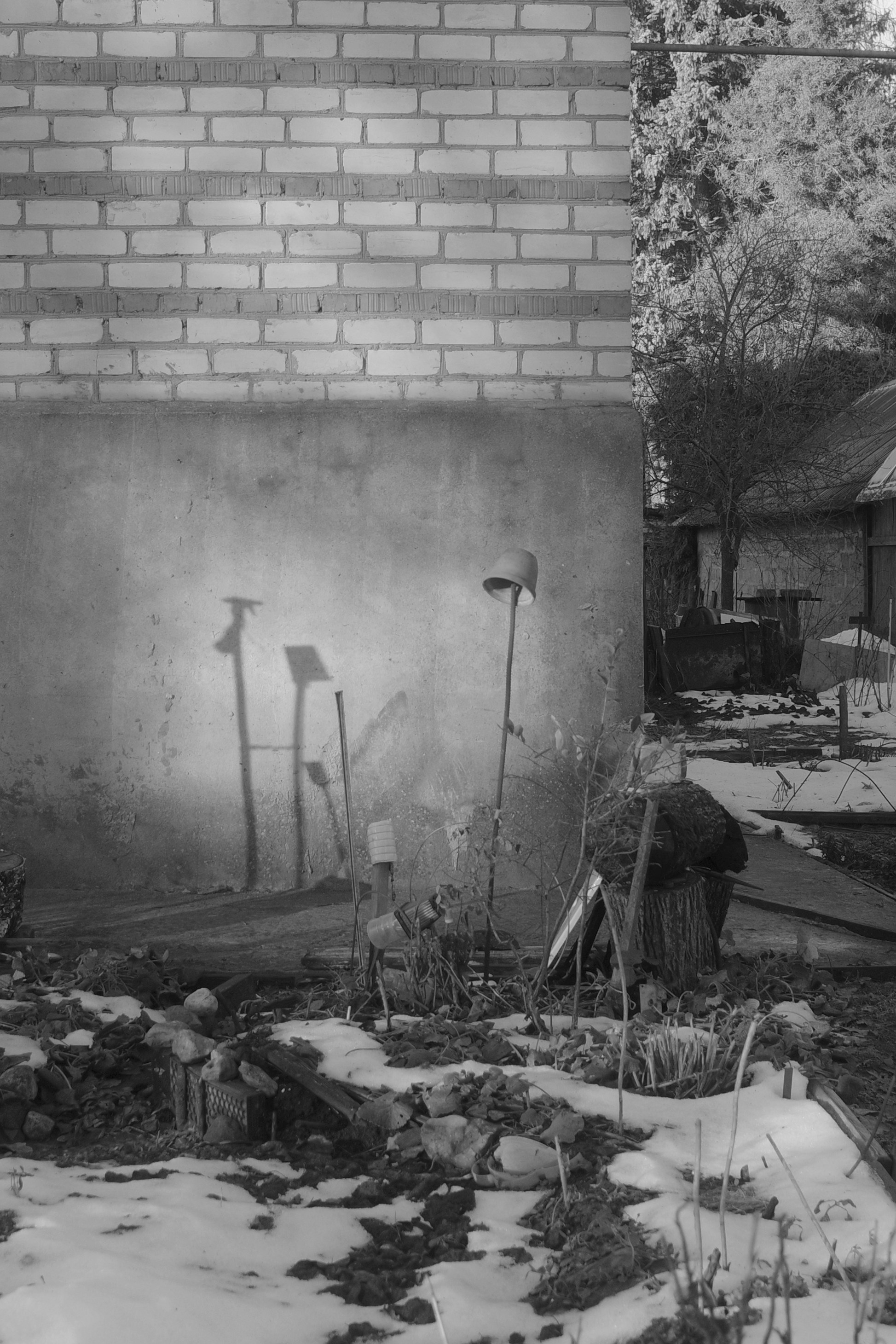 — 2025. Фотограф Злата Спицына