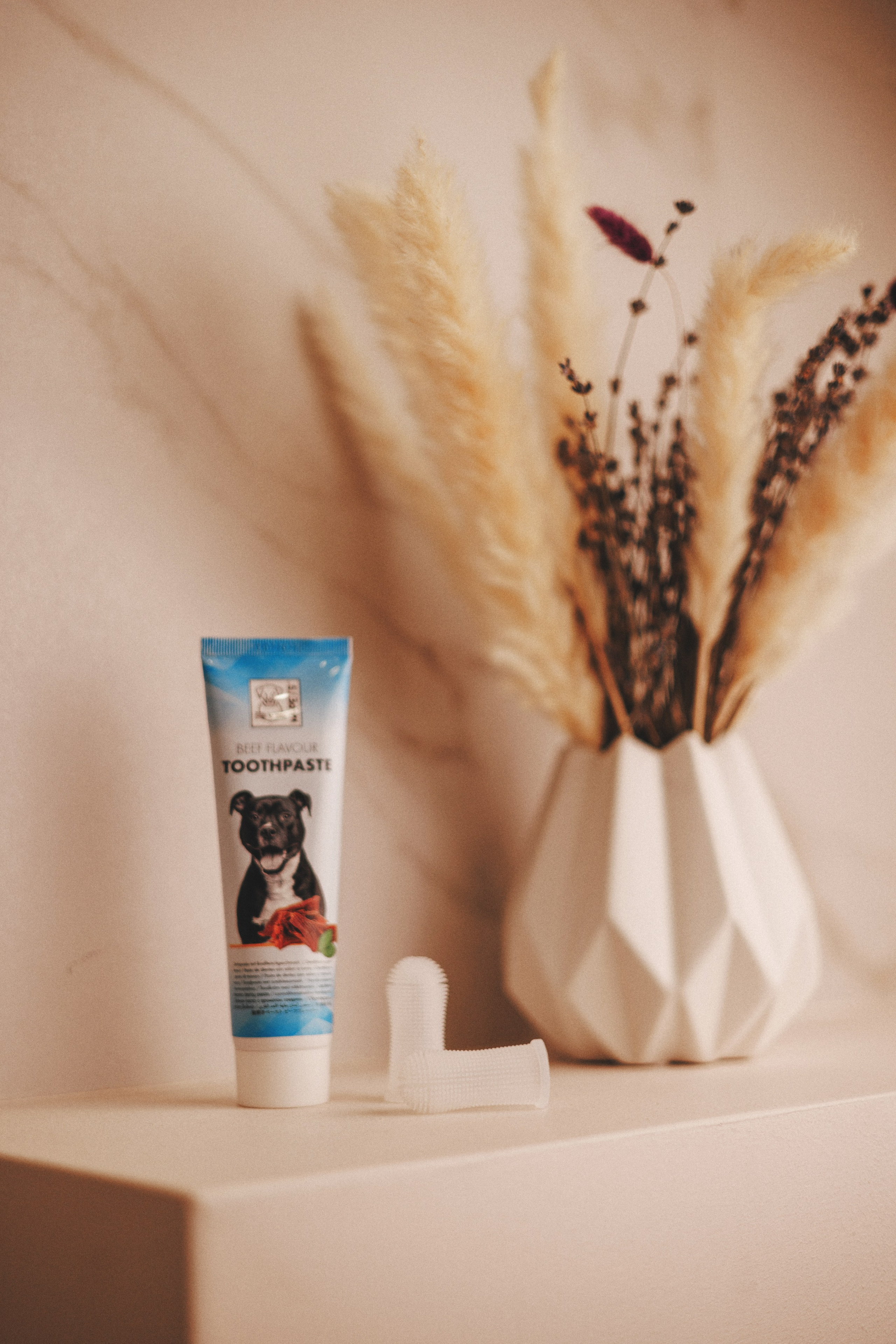 Товары для питомцев M-Pets & Petbiology. Фотограф анималист Осипчикова Мария