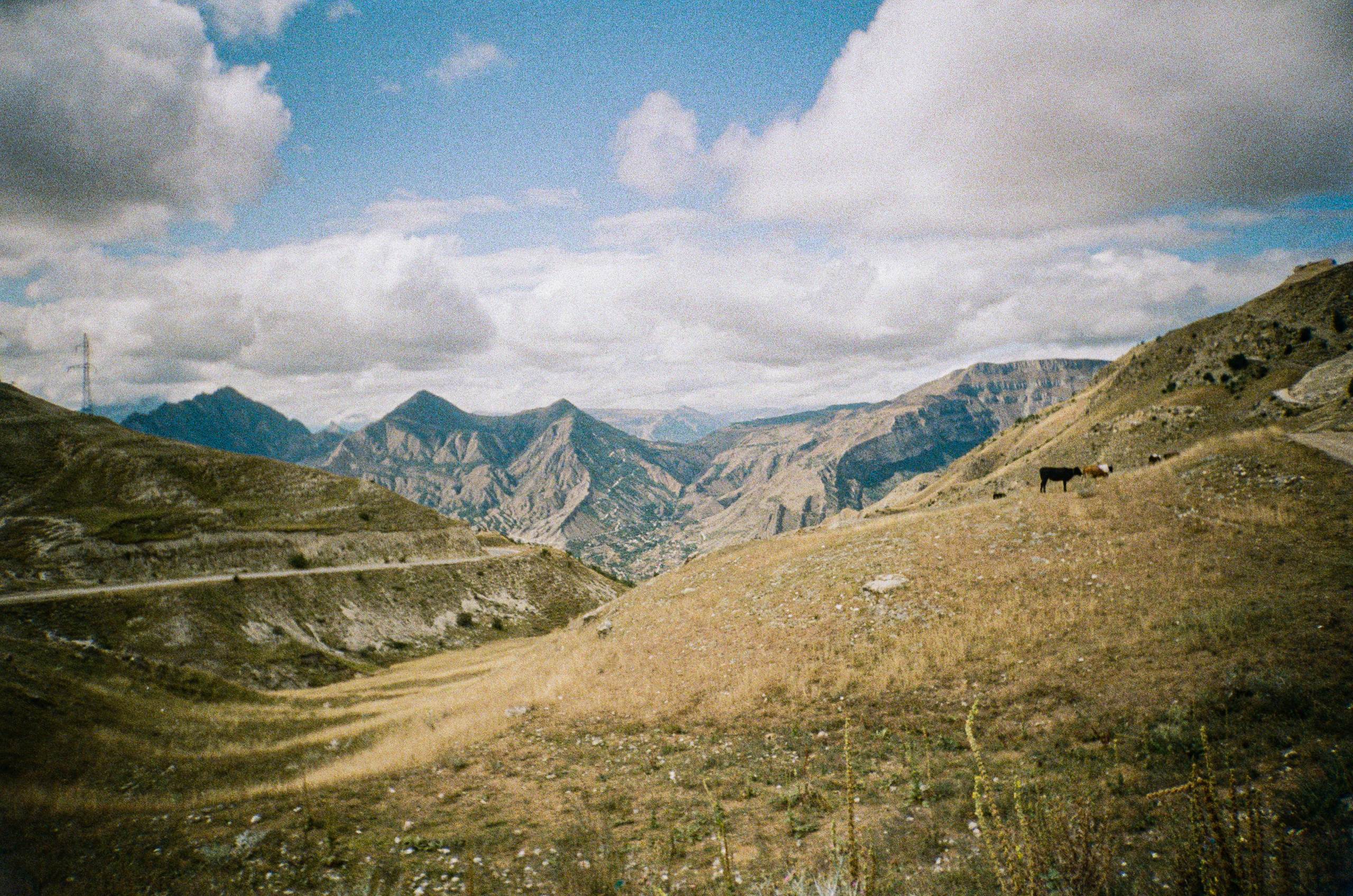 Пленка. Главная