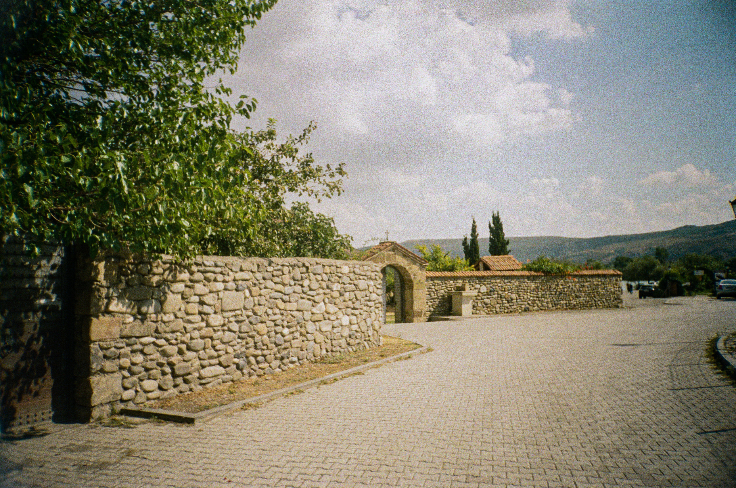 Пленка. Главная