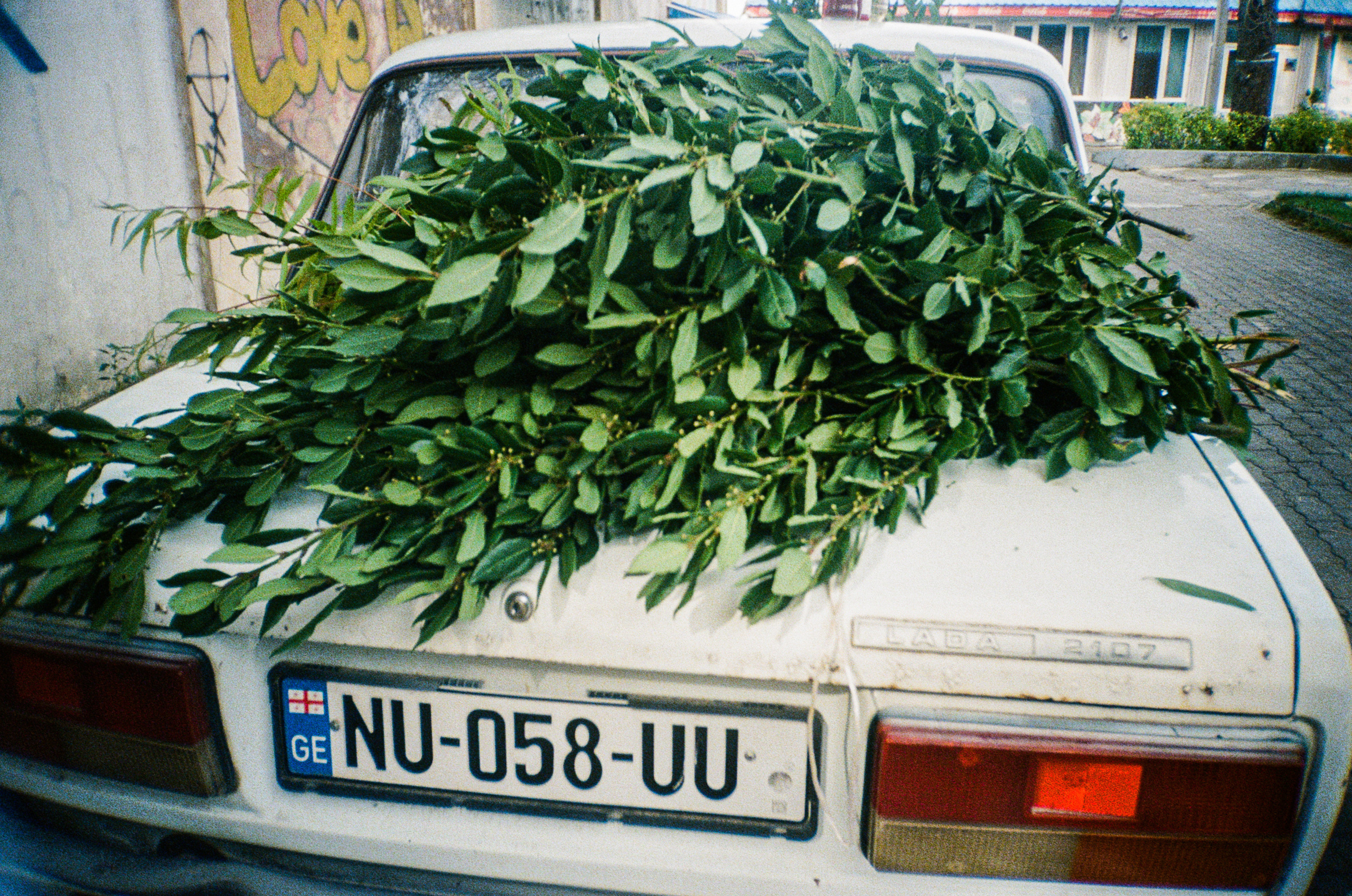 Пленка. Главная